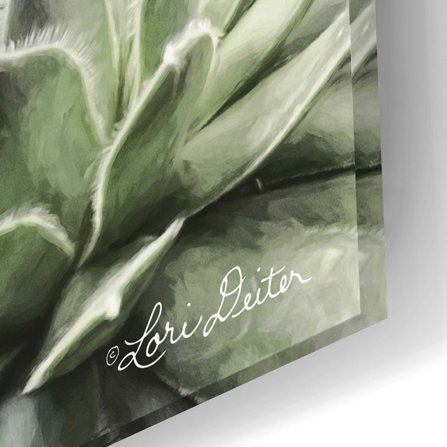 Epic Art 'Grow in Grace' by Lori Deiter Acrylic Glass Wall Art,24x16