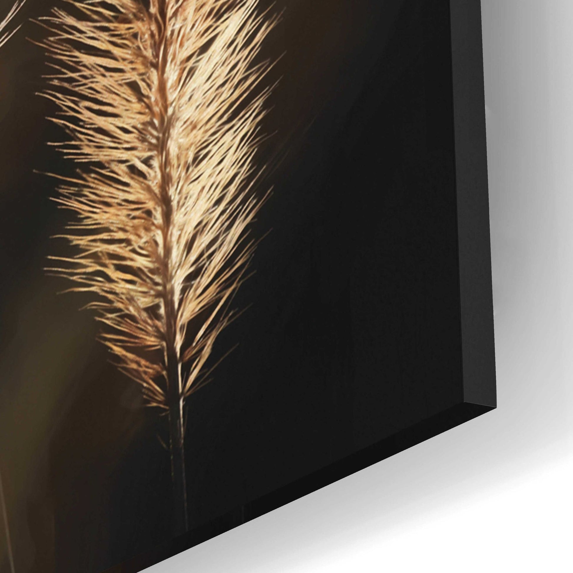 Epic Art 'Golden Grass I' by Lori Deiter Acrylic Glass Wall Art,12x16