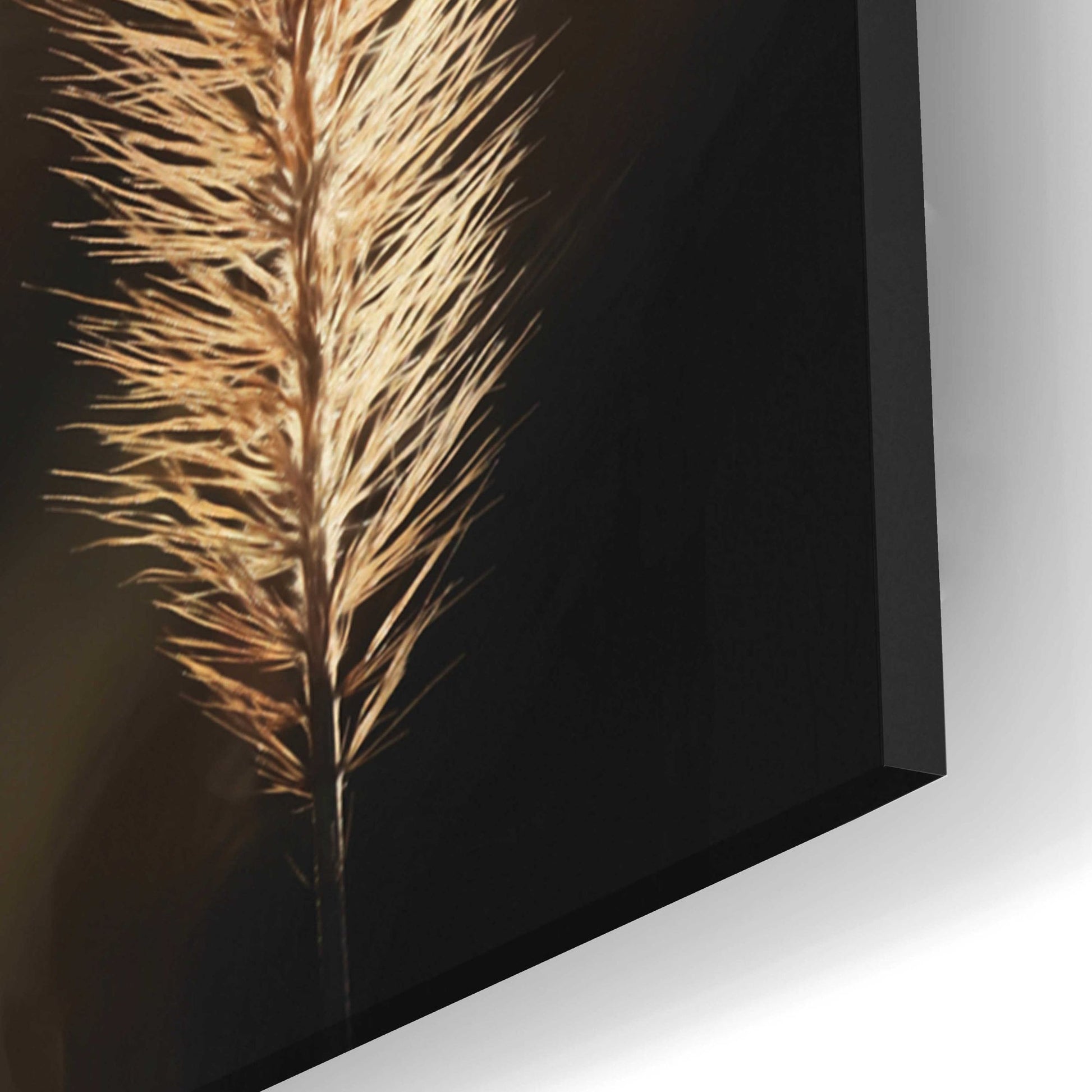 Epic Art 'Golden Grass I' by Lori Deiter Acrylic Glass Wall Art,16x24