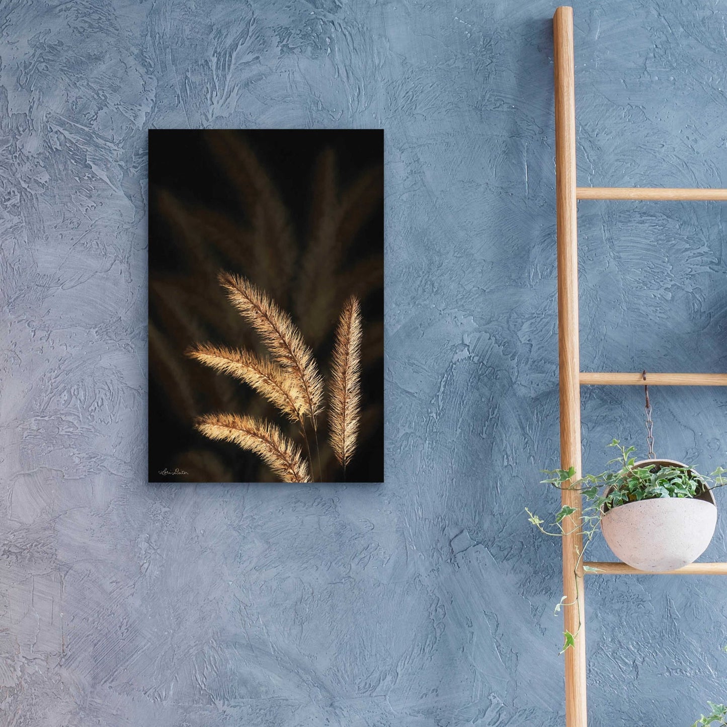 Epic Art 'Golden Grass I' by Lori Deiter Acrylic Glass Wall Art,16x24