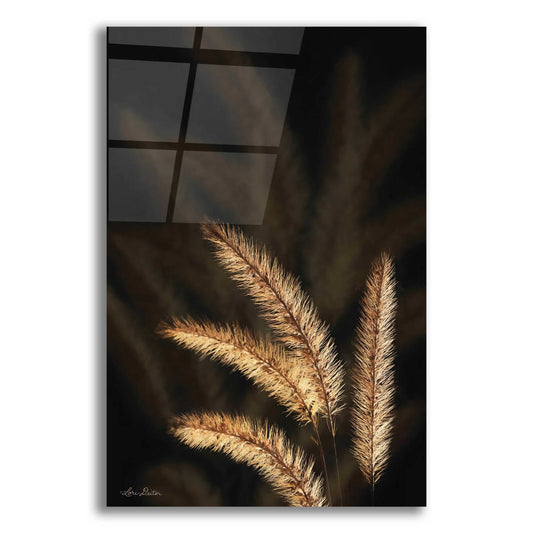 Epic Art 'Golden Grass I' by Lori Deiter Acrylic Glass Wall Art