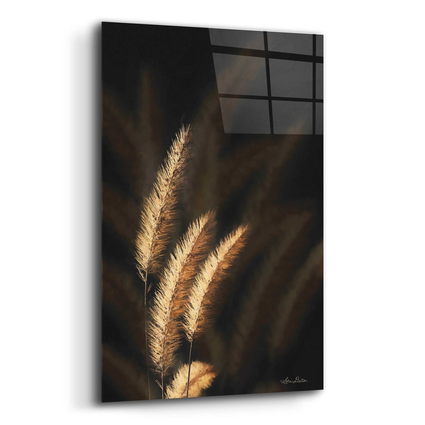 Epic Art 'Golden Grass III' by Lori Deiter Acrylic Glass Wall Art,12x16