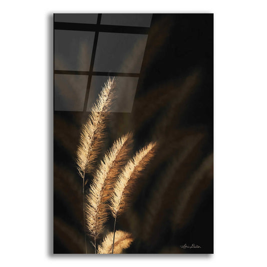 Epic Art 'Golden Grass III' by Lori Deiter Acrylic Glass Wall Art