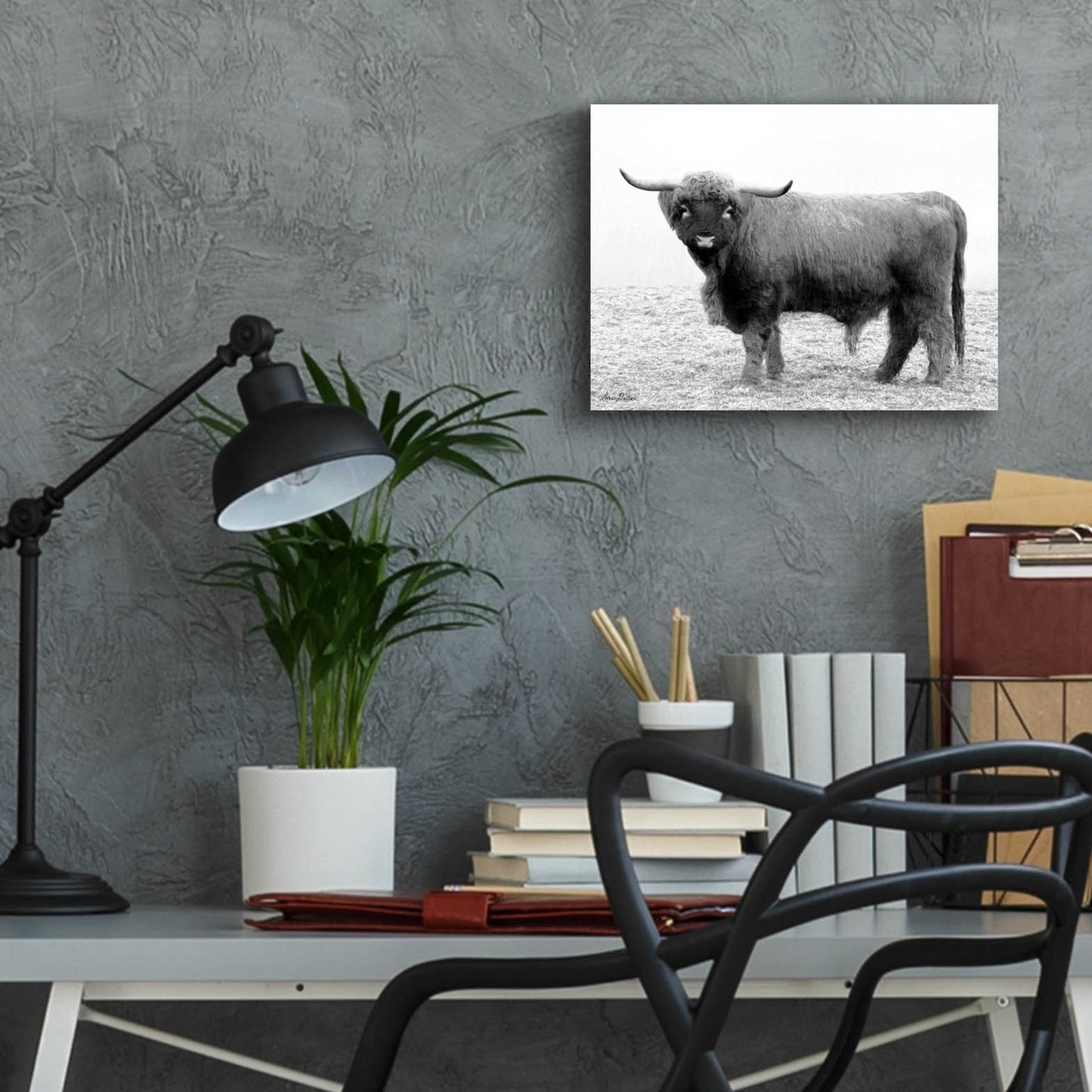 Epic Art 'Scotty the Bull' by Lori Deiter Acrylic Glass Wall Art,16x12