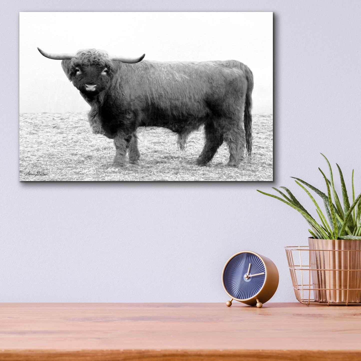 Epic Art 'Scotty the Bull' by Lori Deiter Acrylic Glass Wall Art,16x12