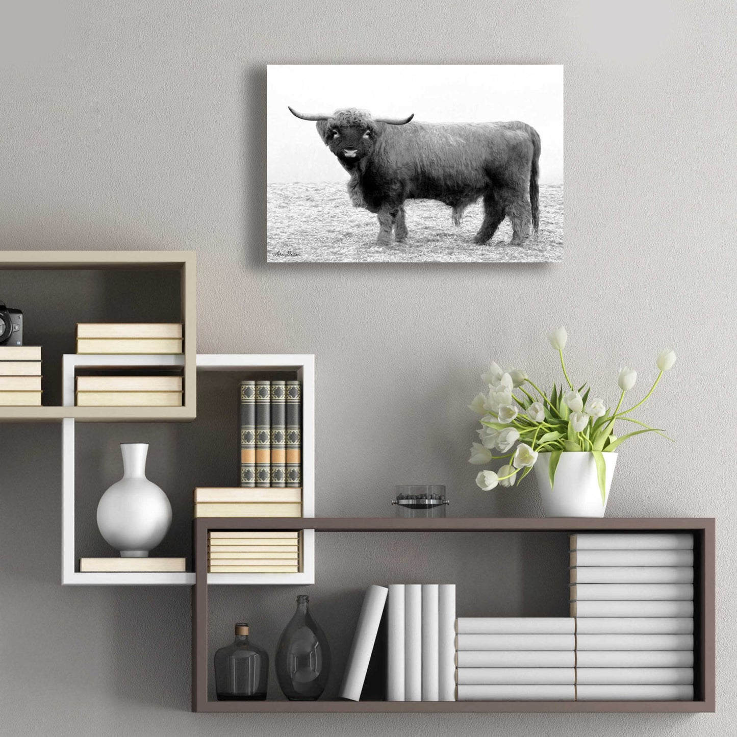 Epic Art 'Scotty the Bull' by Lori Deiter Acrylic Glass Wall Art,24x16