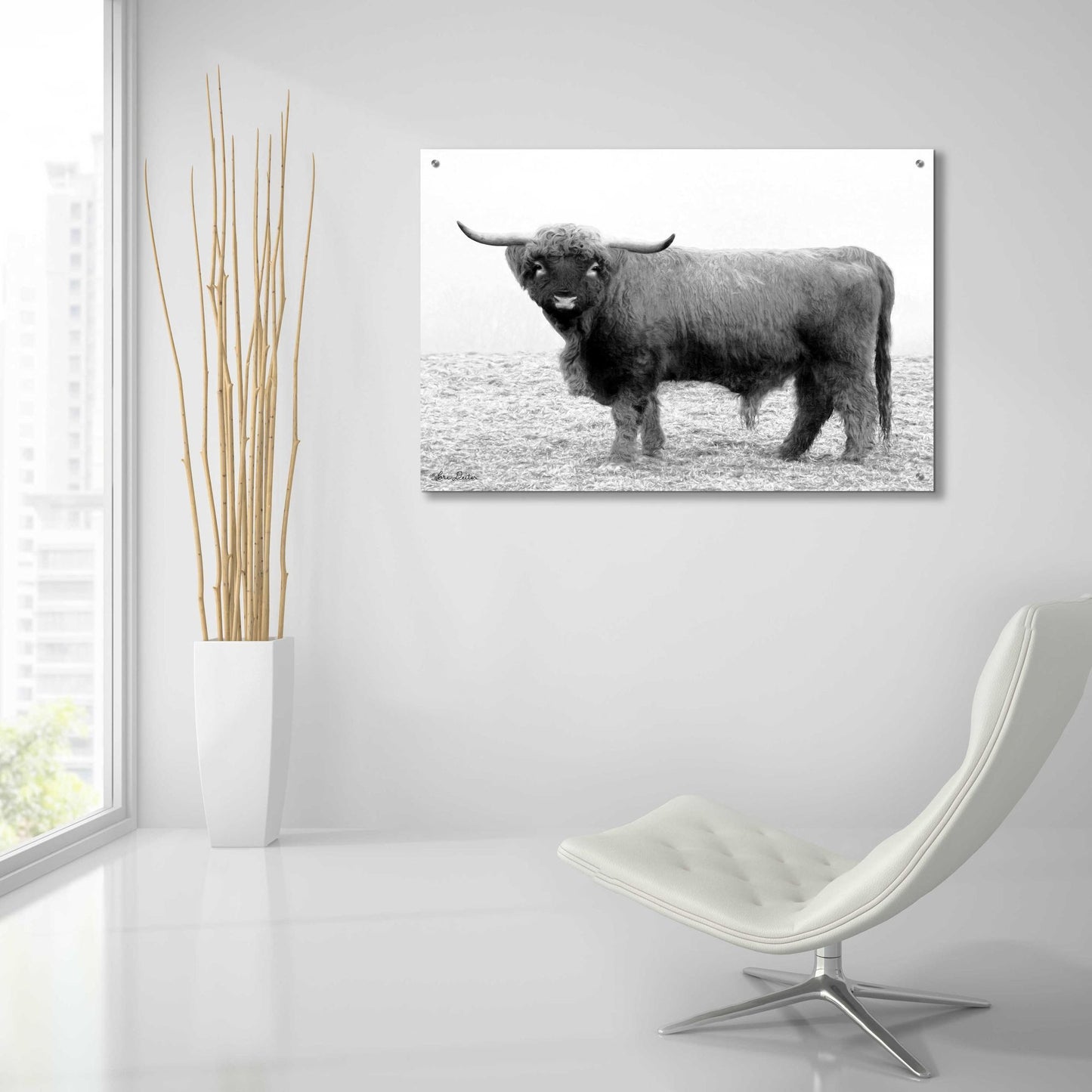 Epic Art 'Scotty the Bull' by Lori Deiter Acrylic Glass Wall Art,36x24