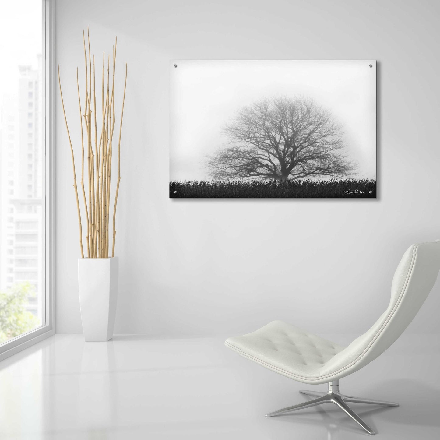 Epic Art 'Foggy Old Tree' by Lori Deiter Acrylic Glass Wall Art,36x24