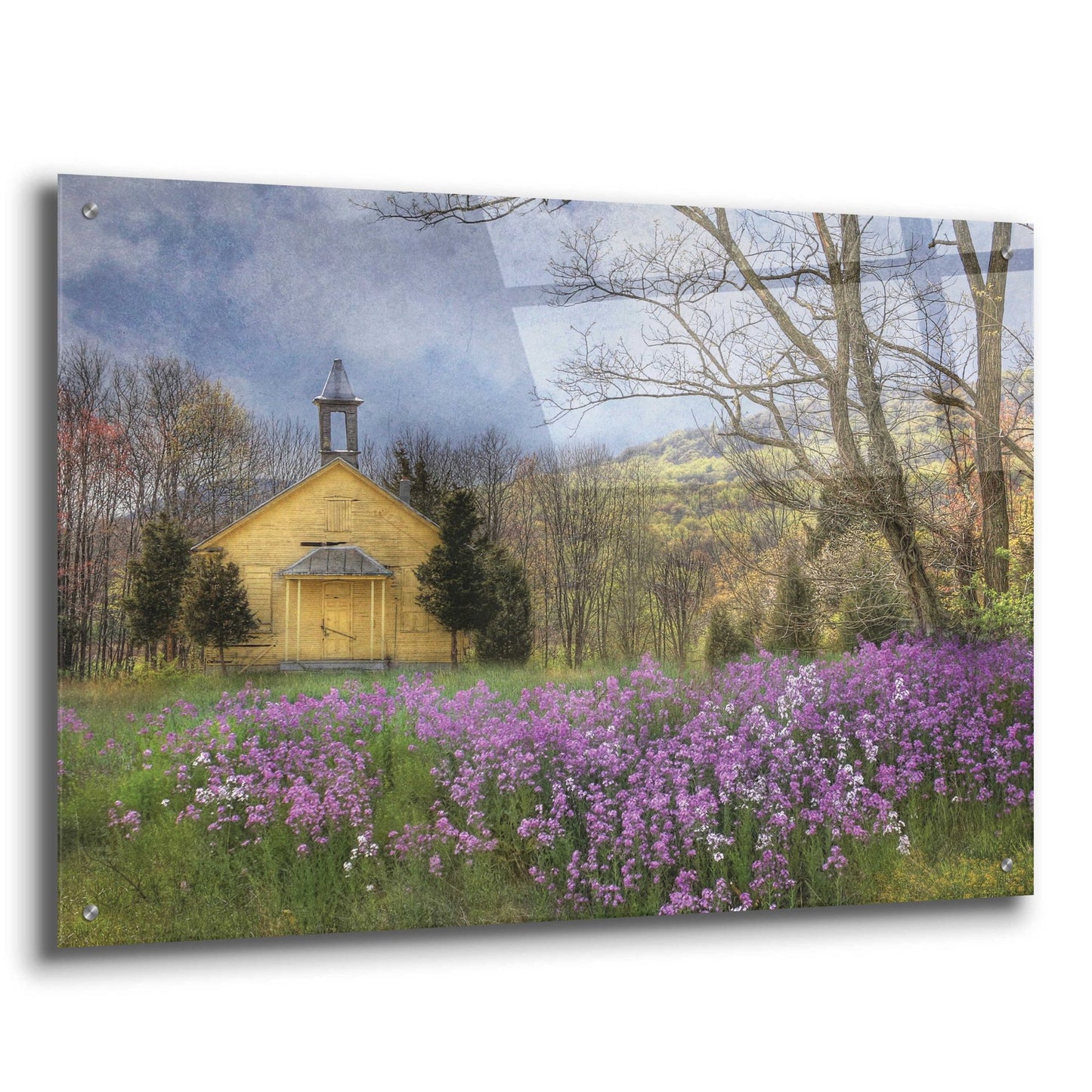 Epic Art 'Fragrant Field' by Lori Deiter Acrylic Glass Wall Art,36x24