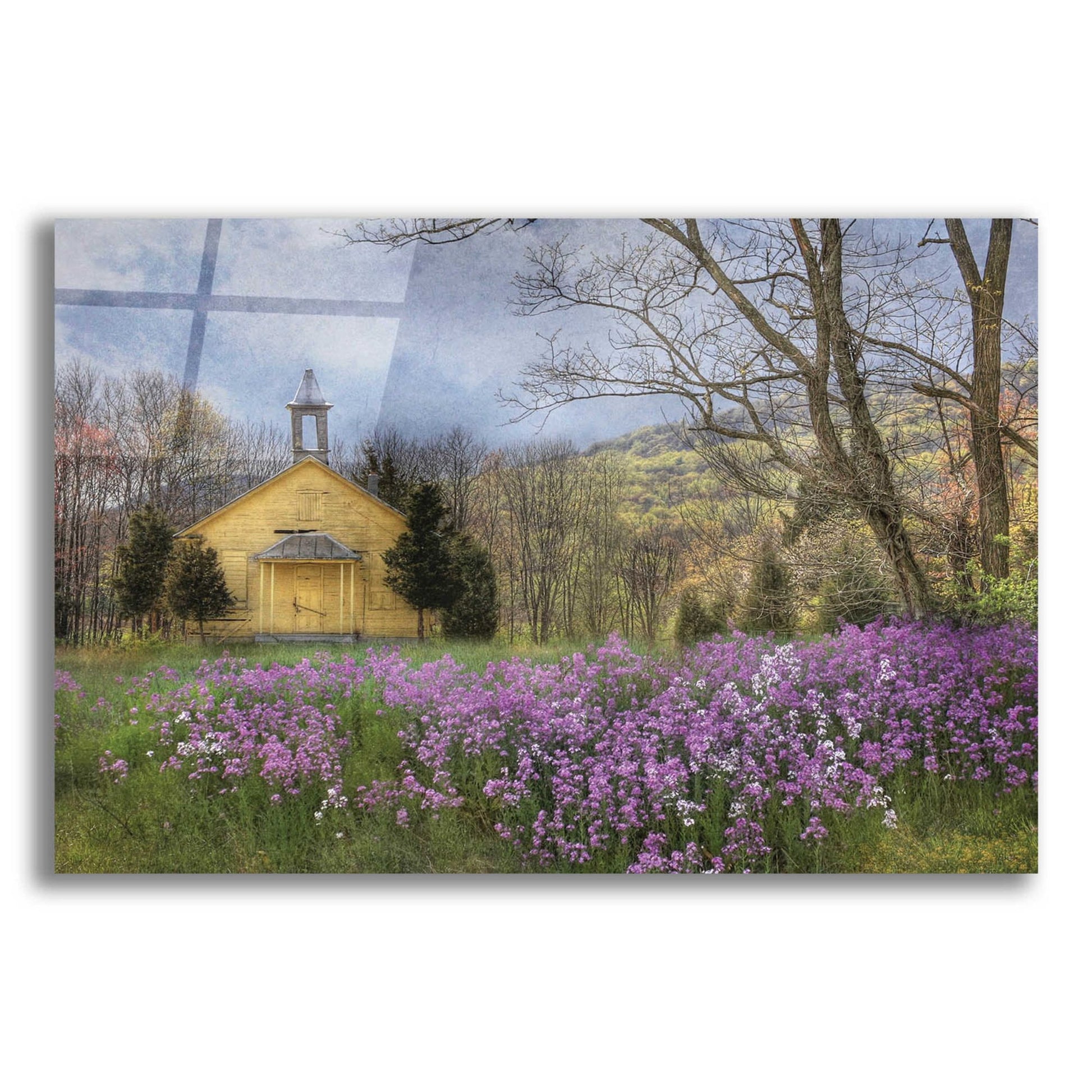 Epic Art 'Fragrant Field' by Lori Deiter Acrylic Glass Wall Art