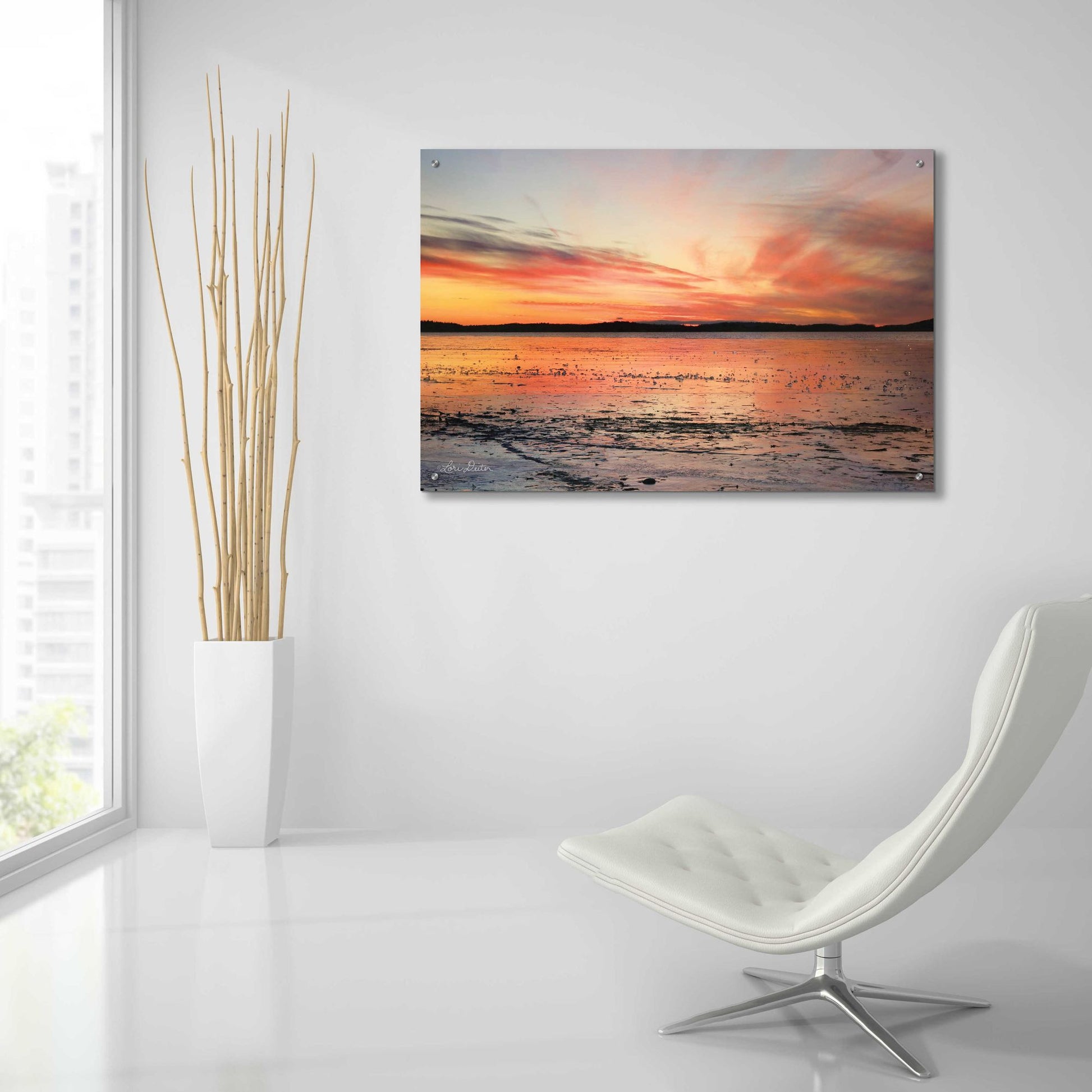 Epic Art 'Fire and Ice' by Lori Deiter Acrylic Glass Wall Art,36x24