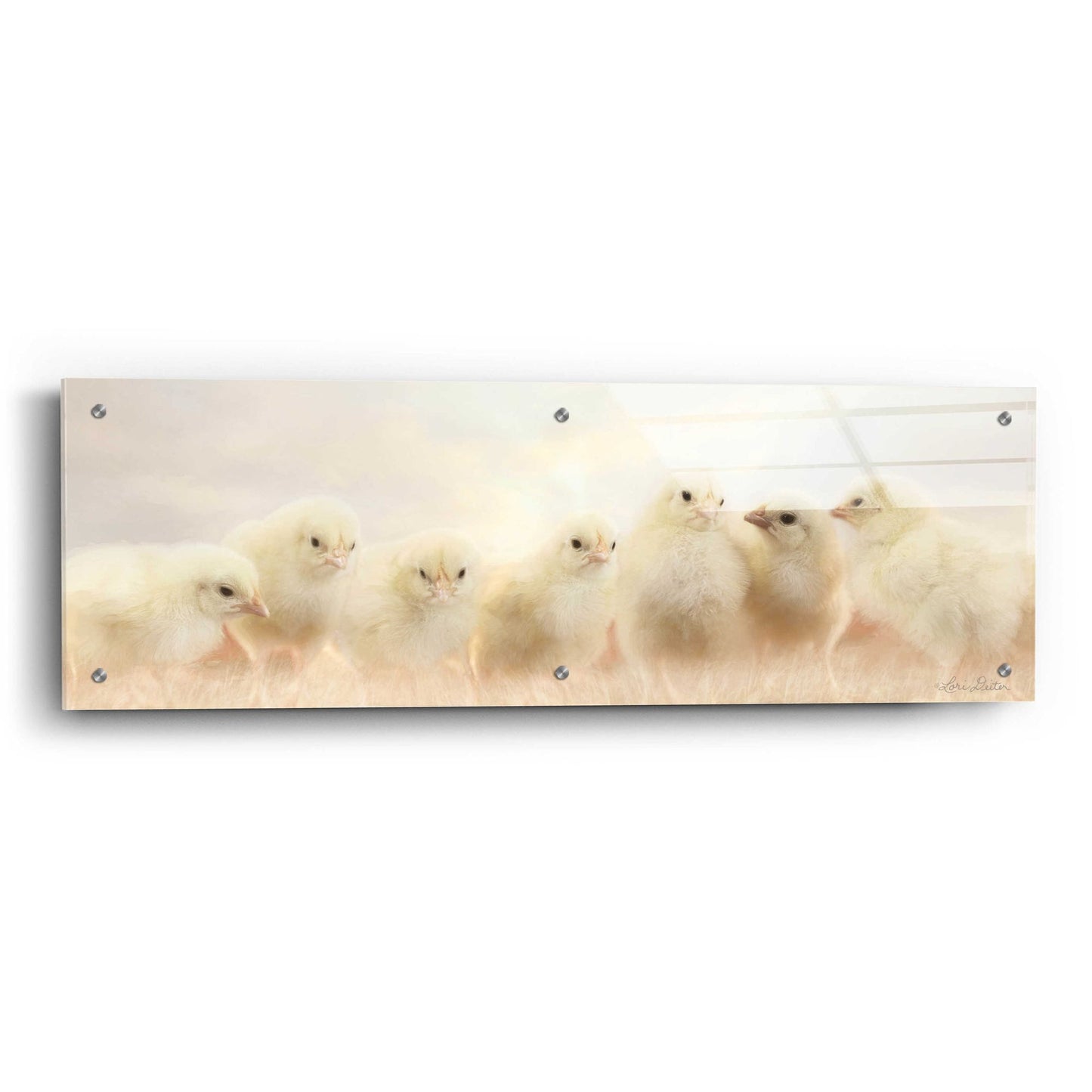 Epic Art 'Spring Line Up' by Lori Deiter Acrylic Glass Wall Art,36x12