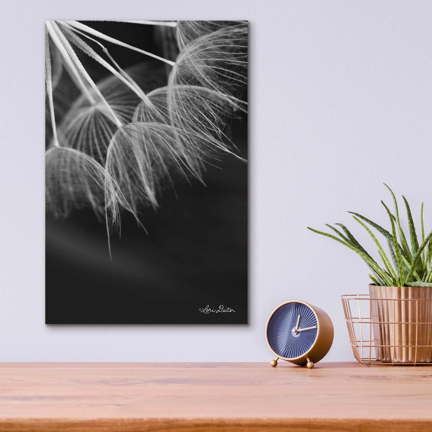 Epic Art 'Goatsbeard I' by Lori Deiter Acrylic Glass Wall Art,12x16