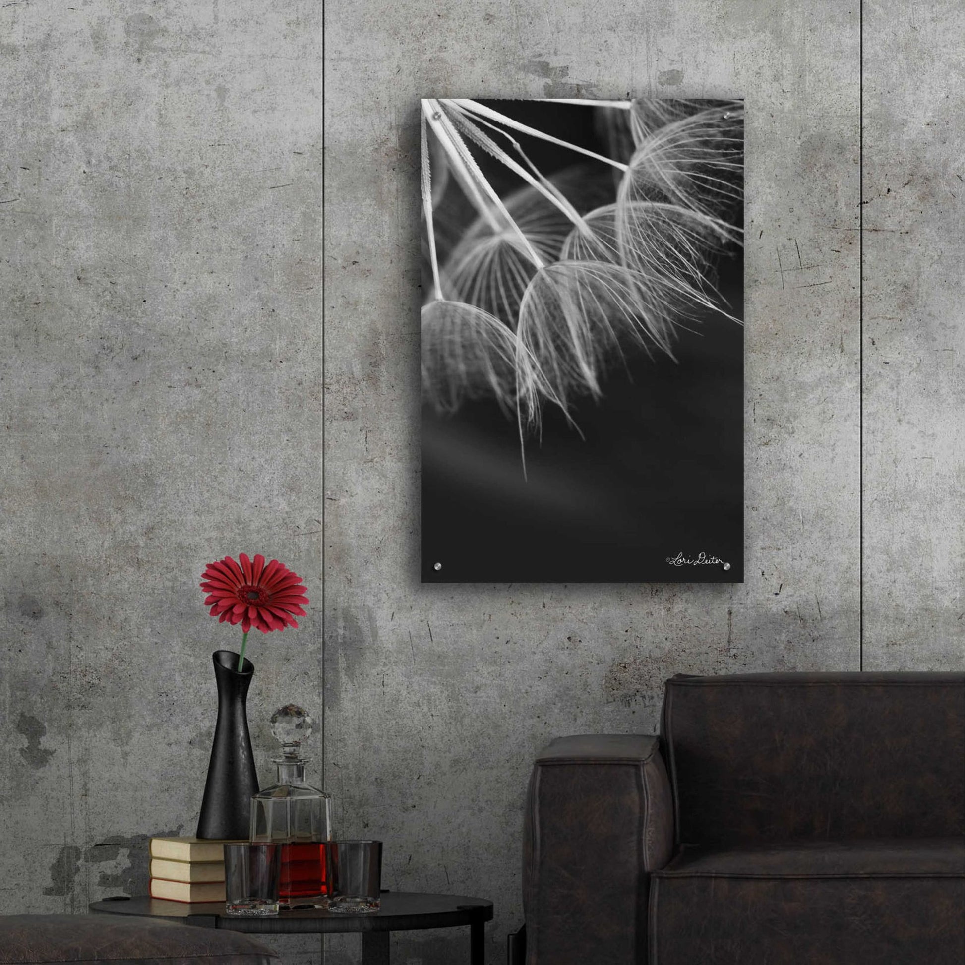 Epic Art 'Goatsbeard I' by Lori Deiter Acrylic Glass Wall Art,24x36