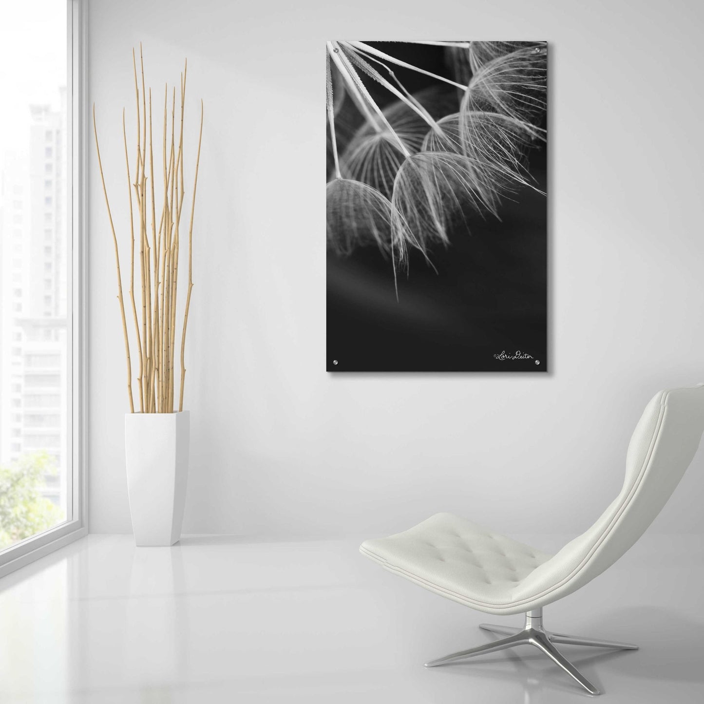 Epic Art 'Goatsbeard I' by Lori Deiter Acrylic Glass Wall Art,24x36