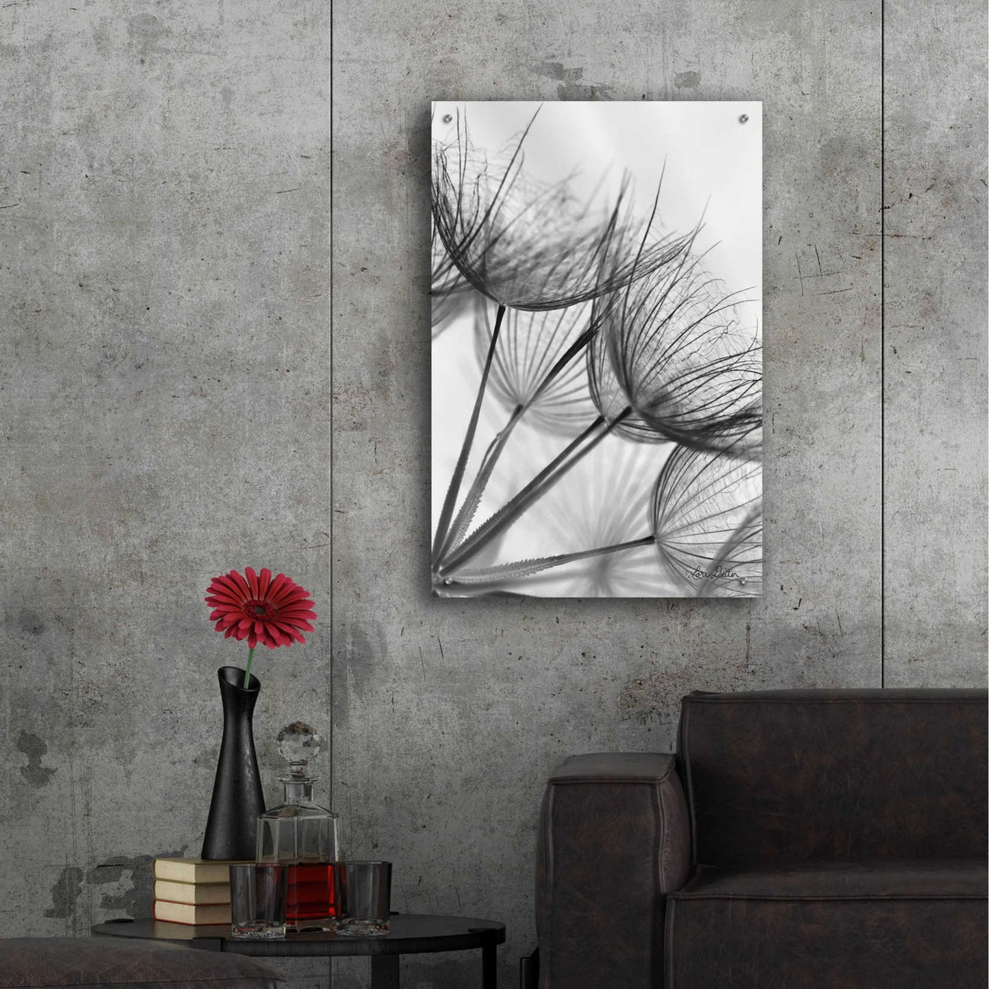 Epic Art 'Goatsbeard II' by Lori Deiter Acrylic Glass Wall Art,24x36