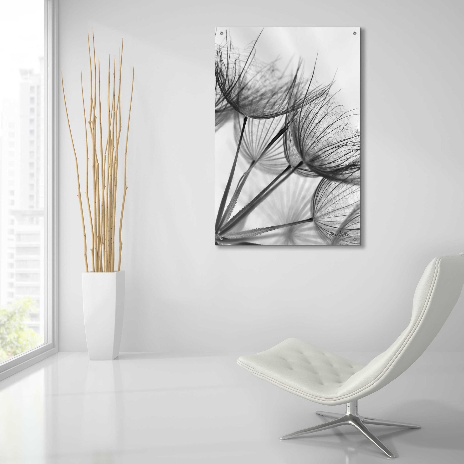 Epic Art 'Goatsbeard II' by Lori Deiter Acrylic Glass Wall Art,24x36