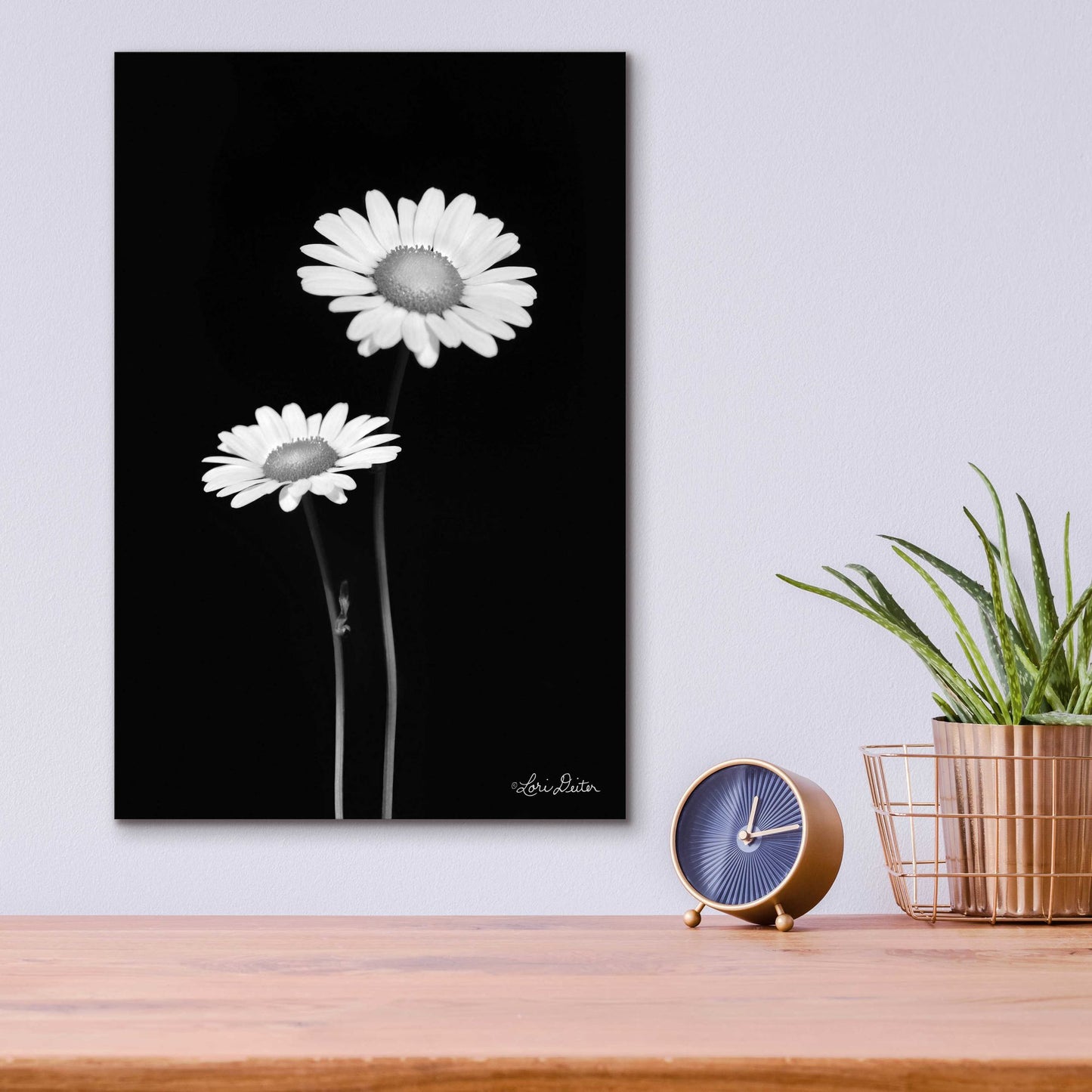 Epic Art 'Pair of Daisies' by Lori Deiter Acrylic Glass Wall Art,12x16