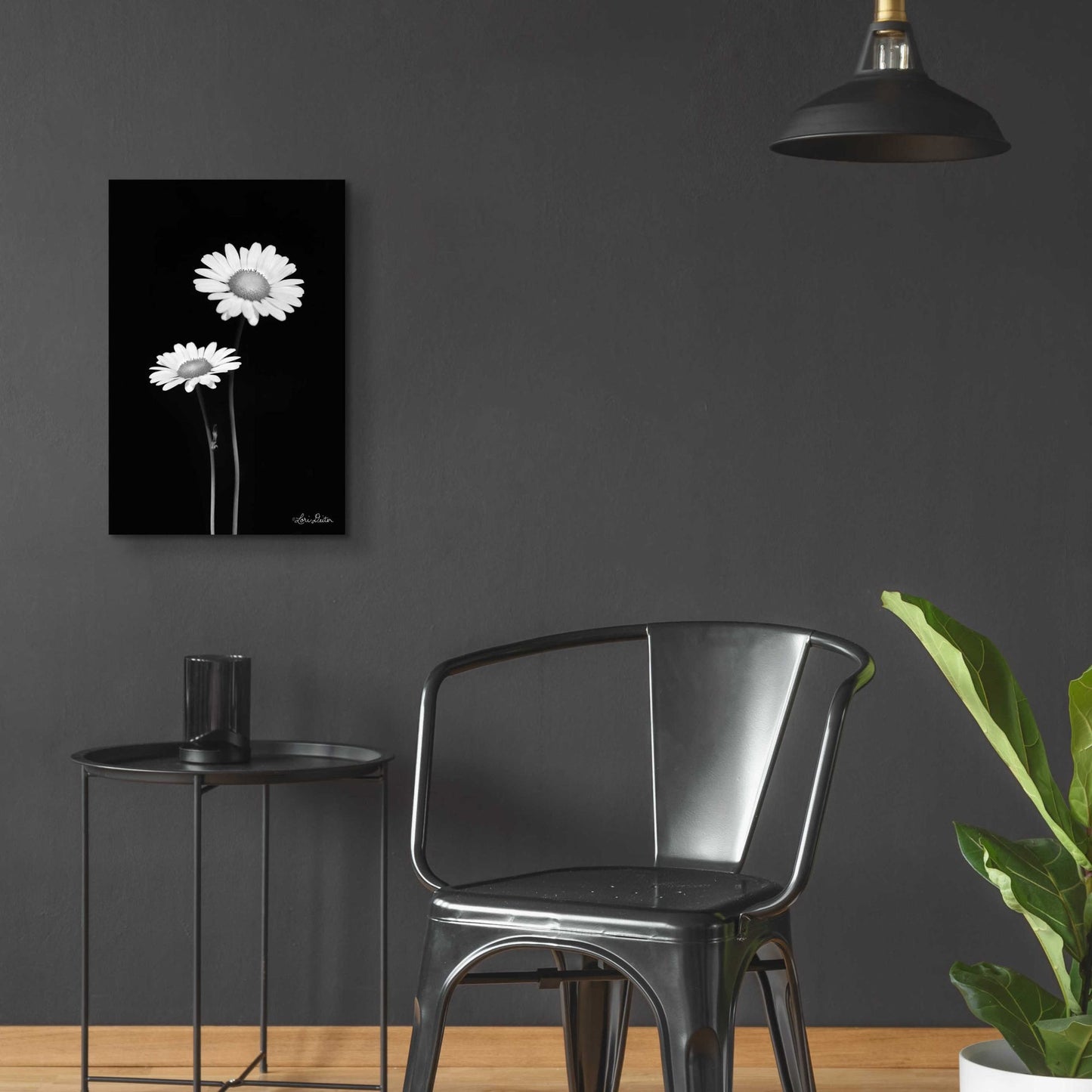 Epic Art 'Pair of Daisies' by Lori Deiter Acrylic Glass Wall Art,16x24