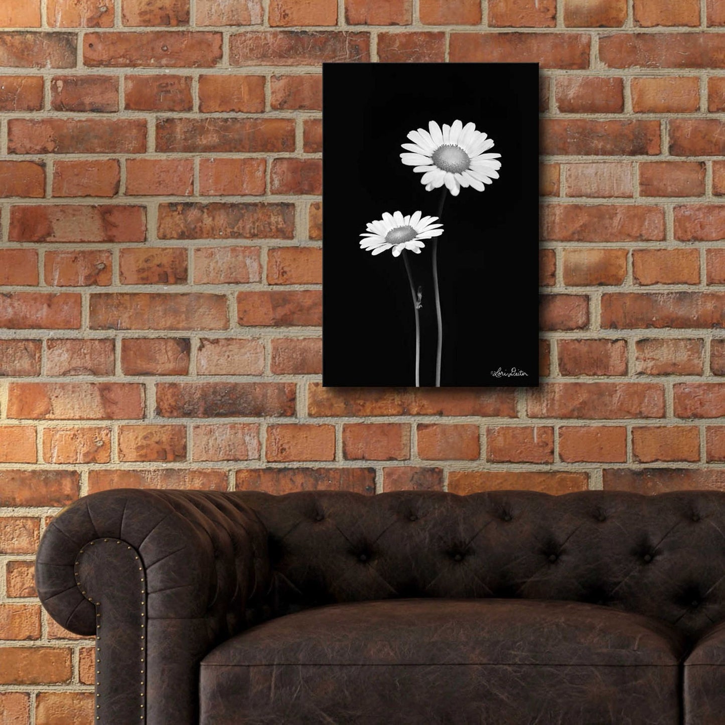 Epic Art 'Pair of Daisies' by Lori Deiter Acrylic Glass Wall Art,16x24