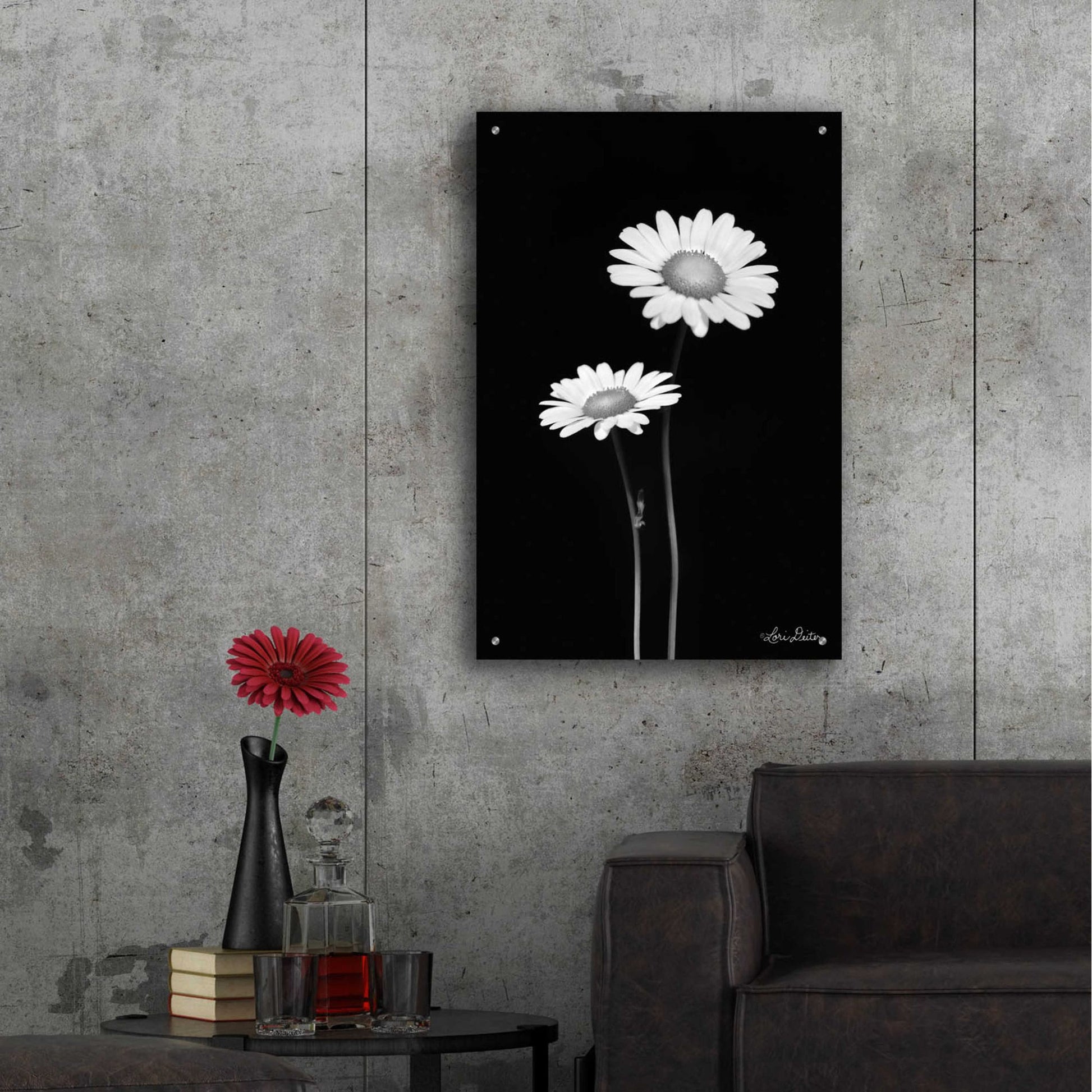 Epic Art 'Pair of Daisies' by Lori Deiter Acrylic Glass Wall Art,24x36