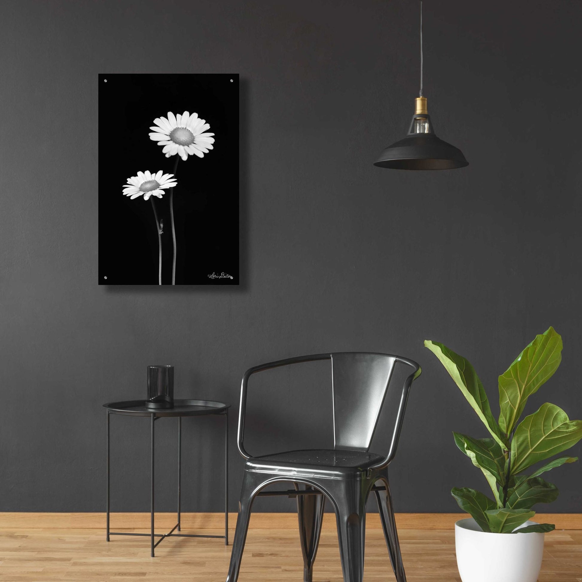 Epic Art 'Pair of Daisies' by Lori Deiter Acrylic Glass Wall Art,24x36