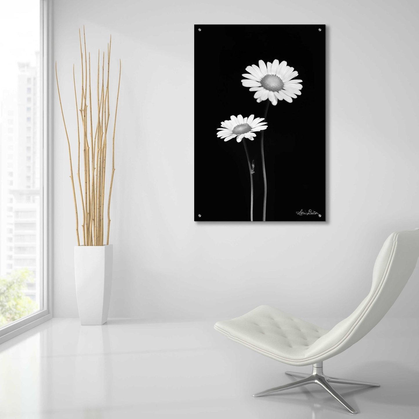 Epic Art 'Pair of Daisies' by Lori Deiter Acrylic Glass Wall Art,24x36