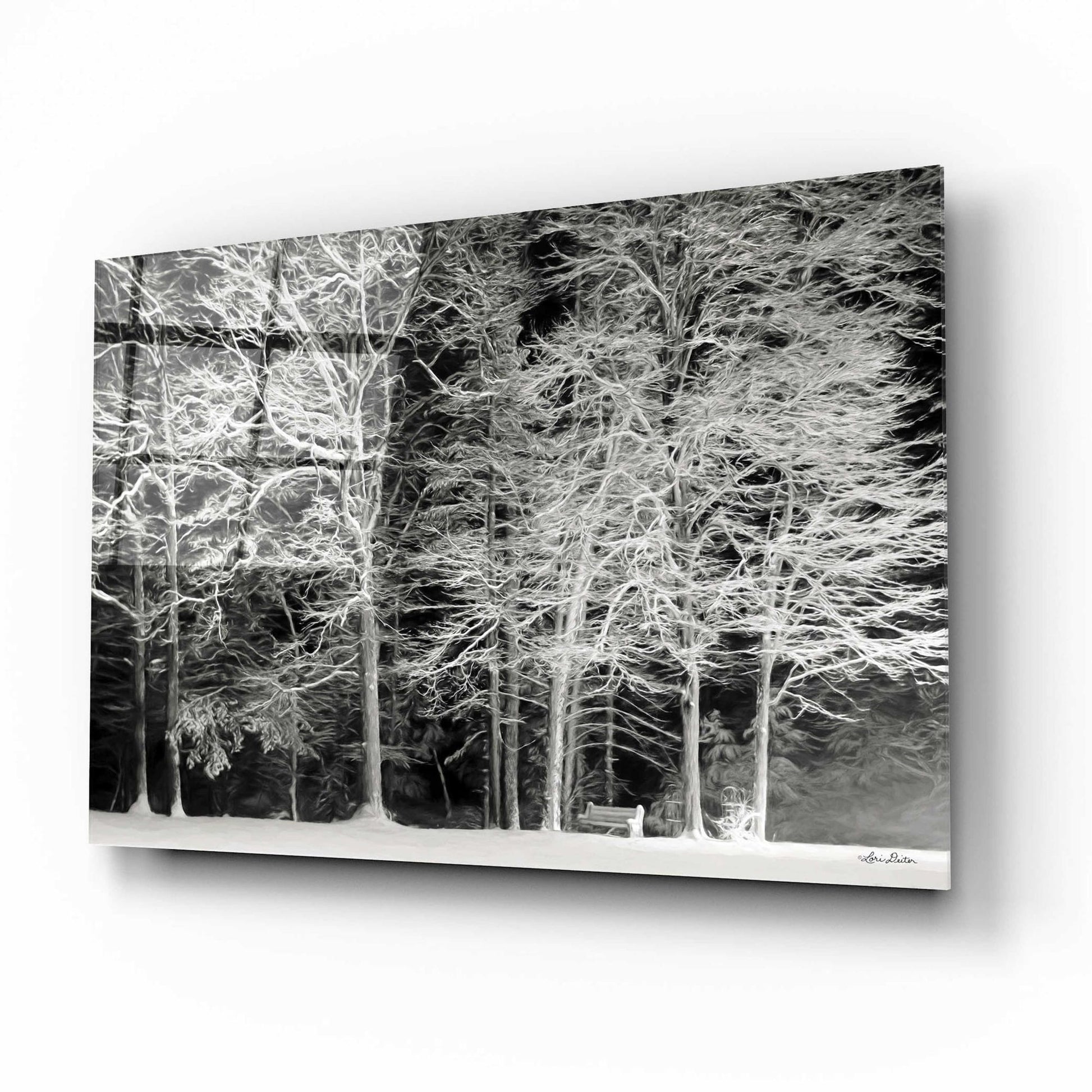 Epic Art 'Snowy Trees' by Lori Deiter Acrylic Glass Wall Art,16x12