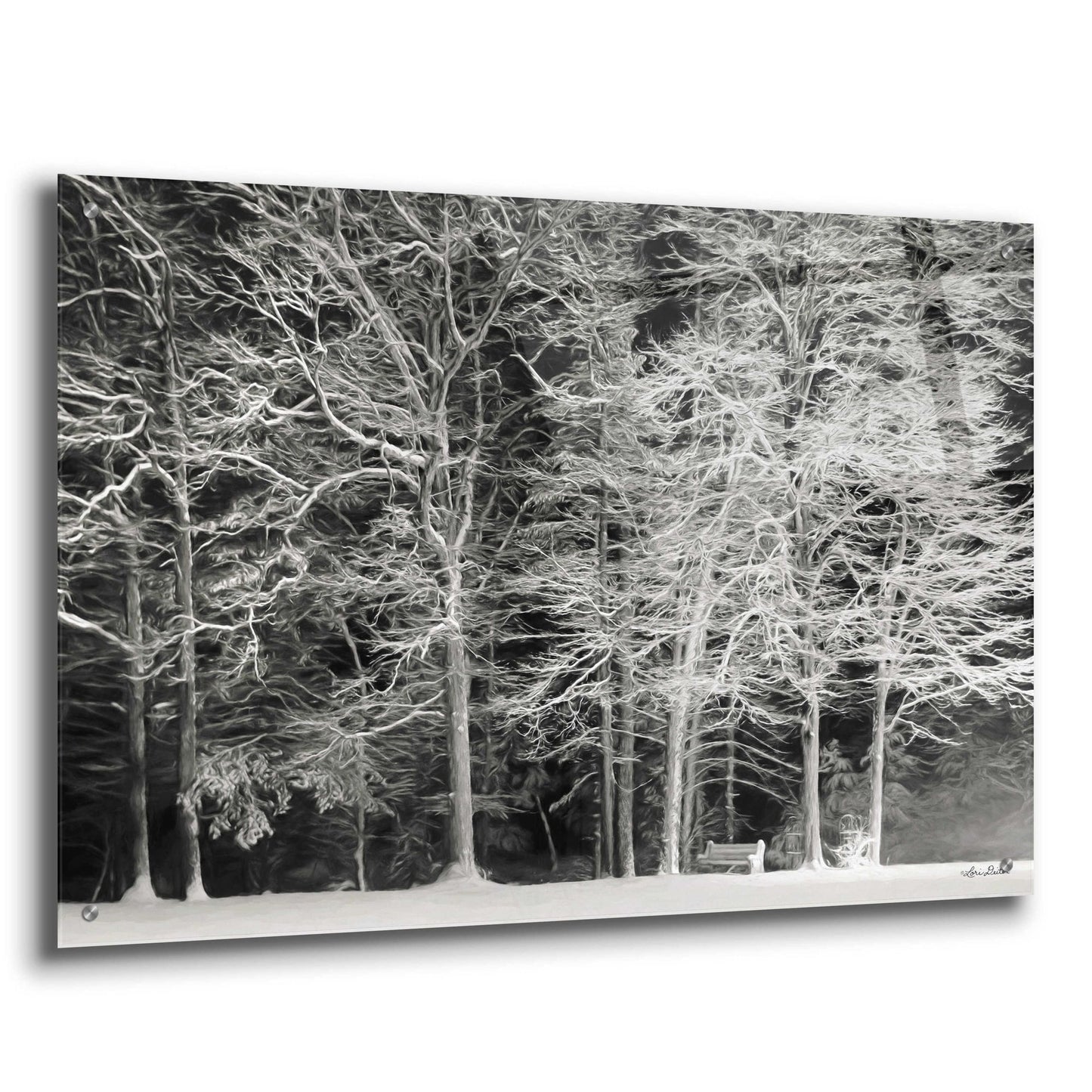 Epic Art 'Snowy Trees' by Lori Deiter Acrylic Glass Wall Art,36x24