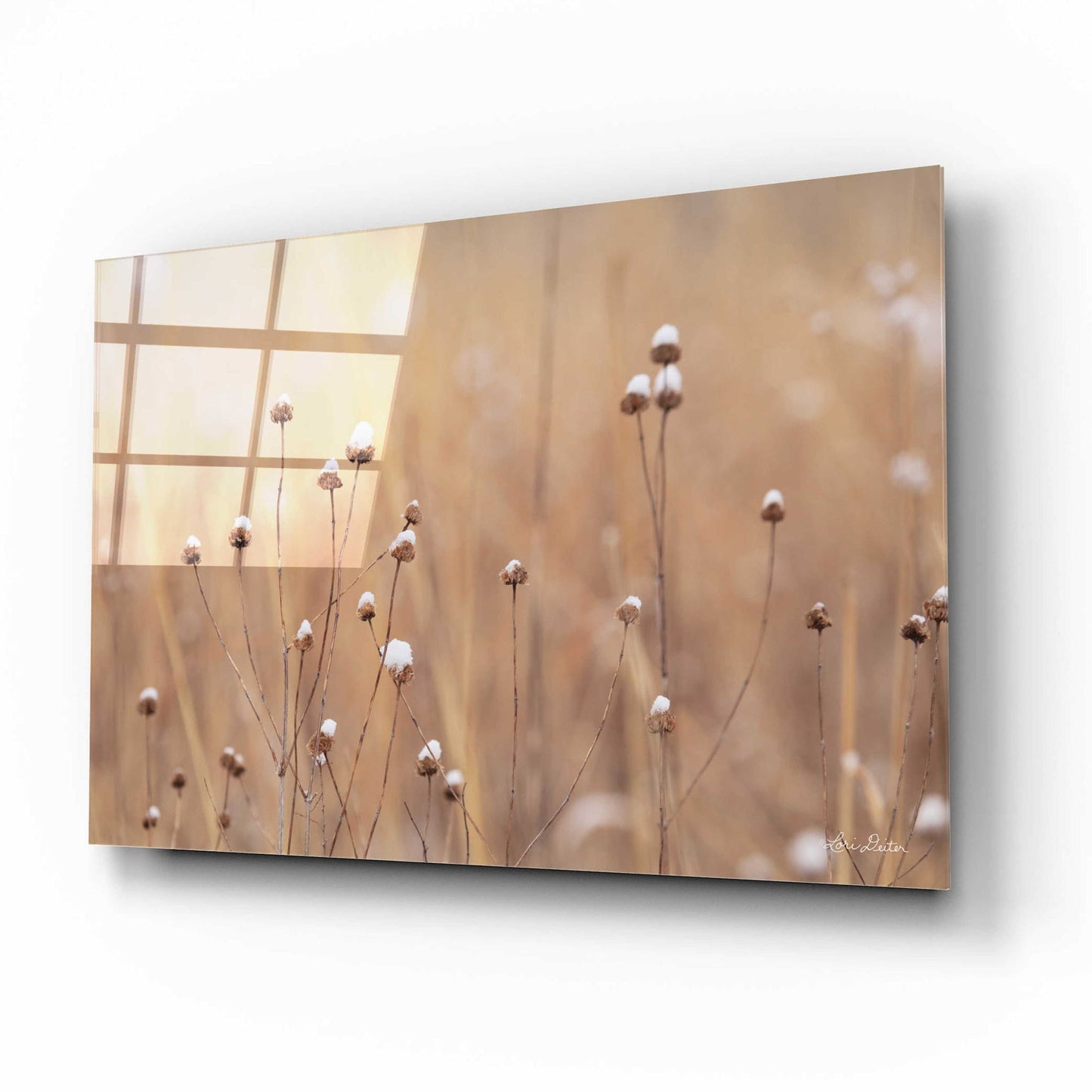 Epic Art 'Snow Capped Wildflowers' by Lori Deiter Acrylic Glass Wall Art,16x12