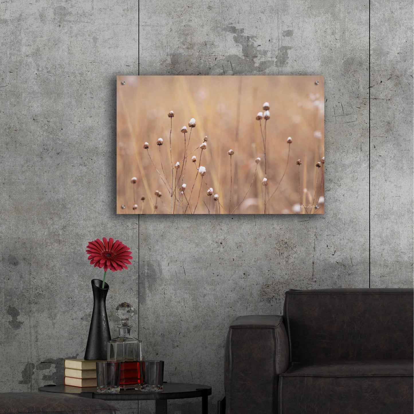 Epic Art 'Snow Capped Wildflowers' by Lori Deiter Acrylic Glass Wall Art,36x24