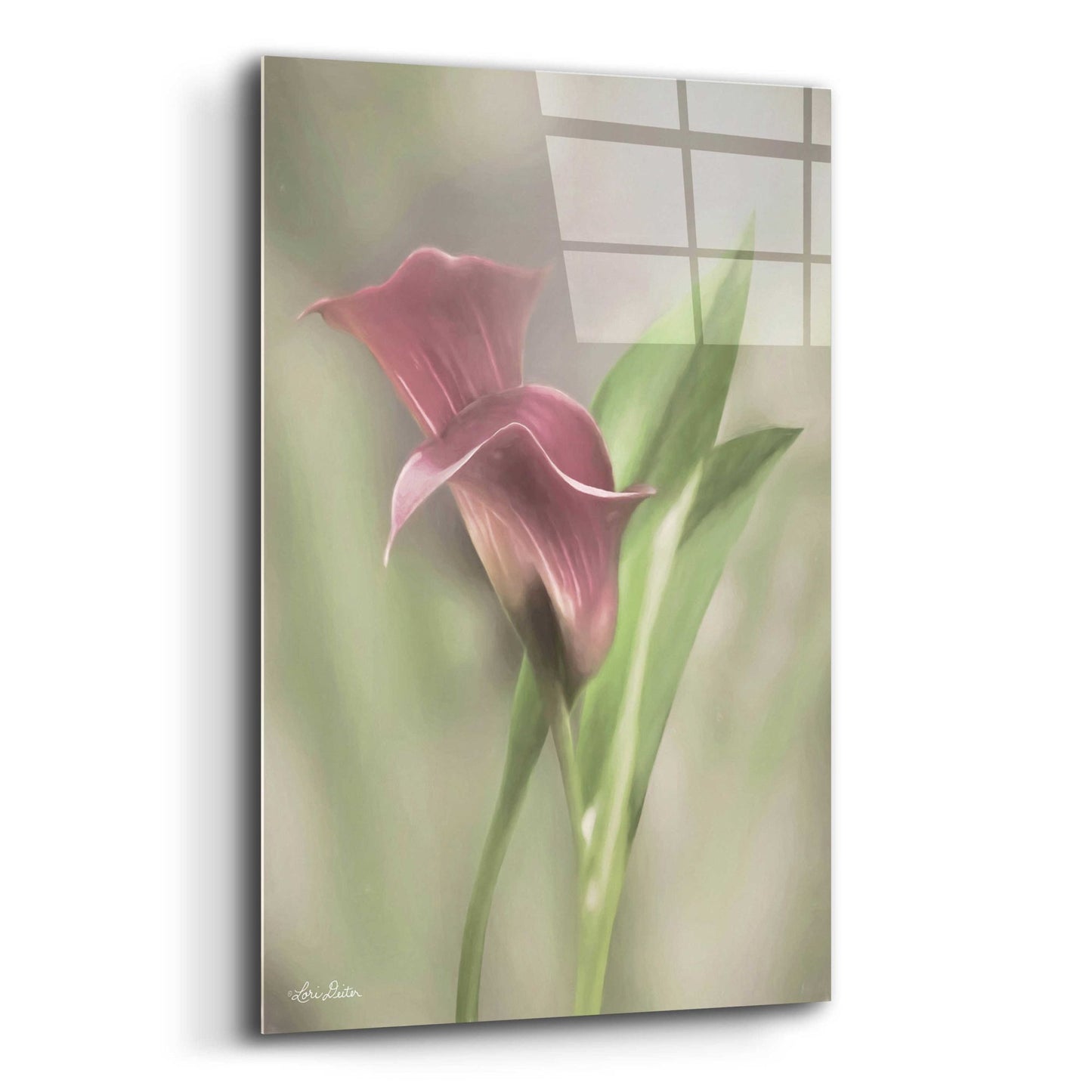 Epic Art 'Pink Calla Lily' by Lori Deiter Acrylic Glass Wall Art,12x16