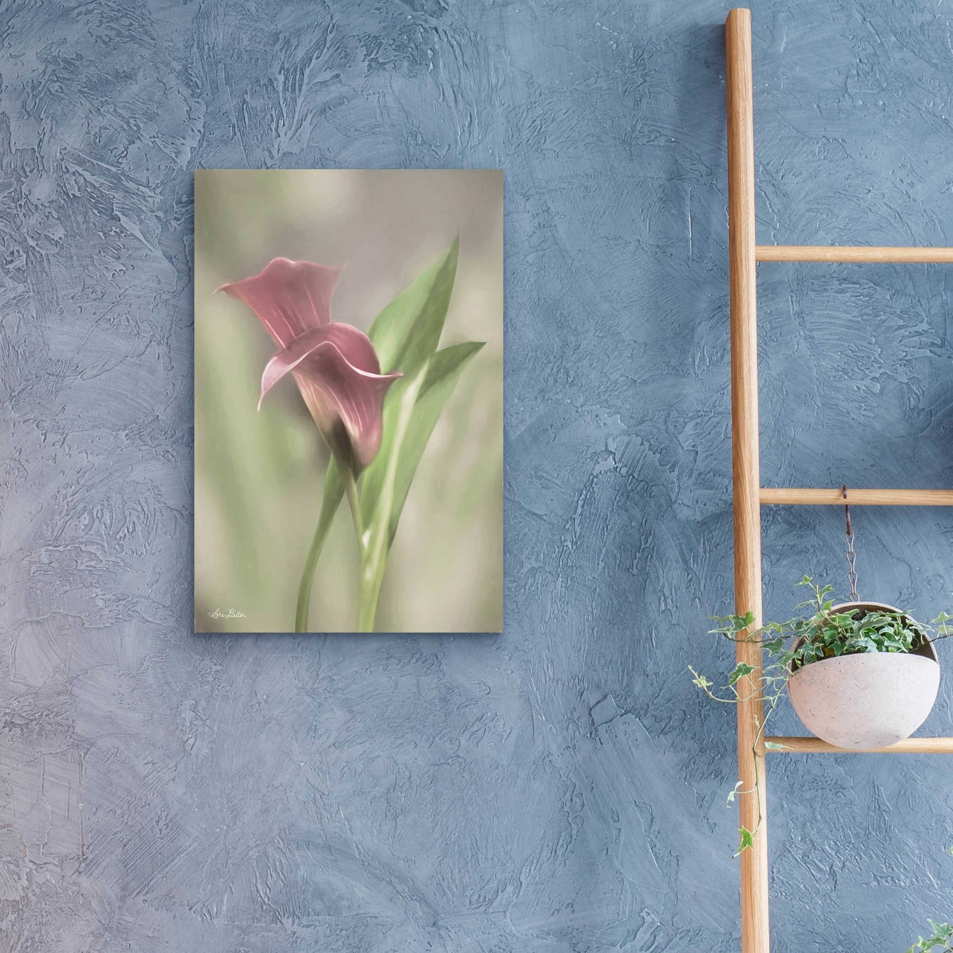 Epic Art 'Pink Calla Lily' by Lori Deiter Acrylic Glass Wall Art,16x24