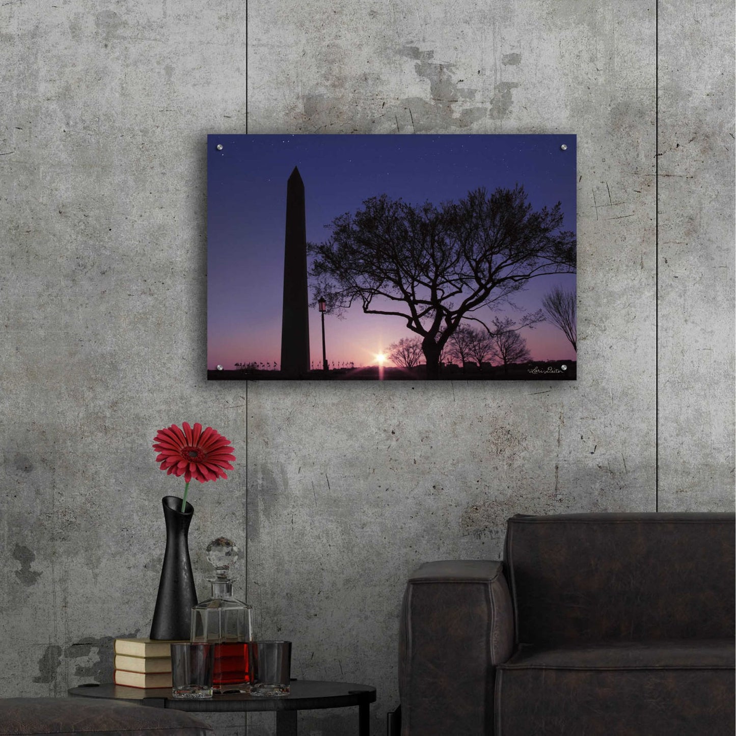 Epic Art 'Nightfall at the Washington Monument' by Lori Deiter Acrylic Glass Wall Art,36x24