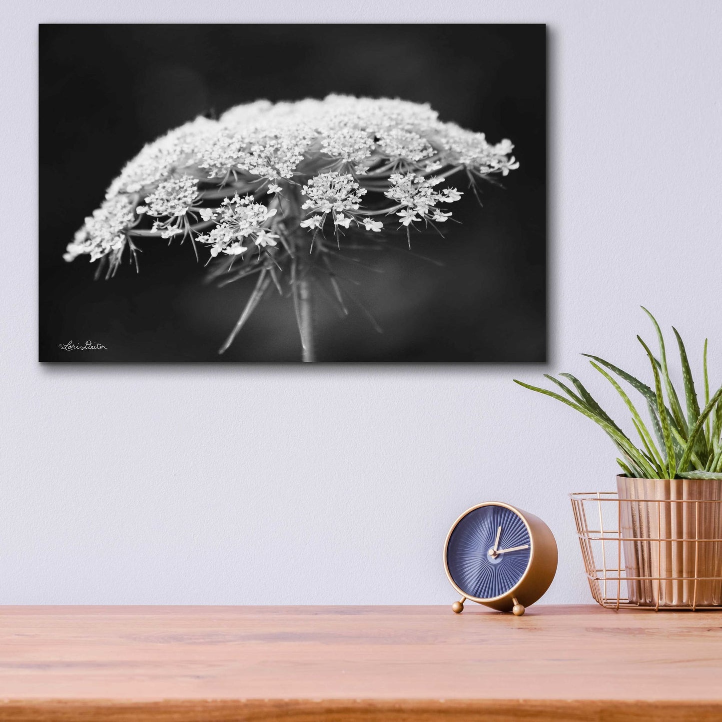 Epic Art 'Queen Anne's Lace' by Lori Deiter Acrylic Glass Wall Art,16x12