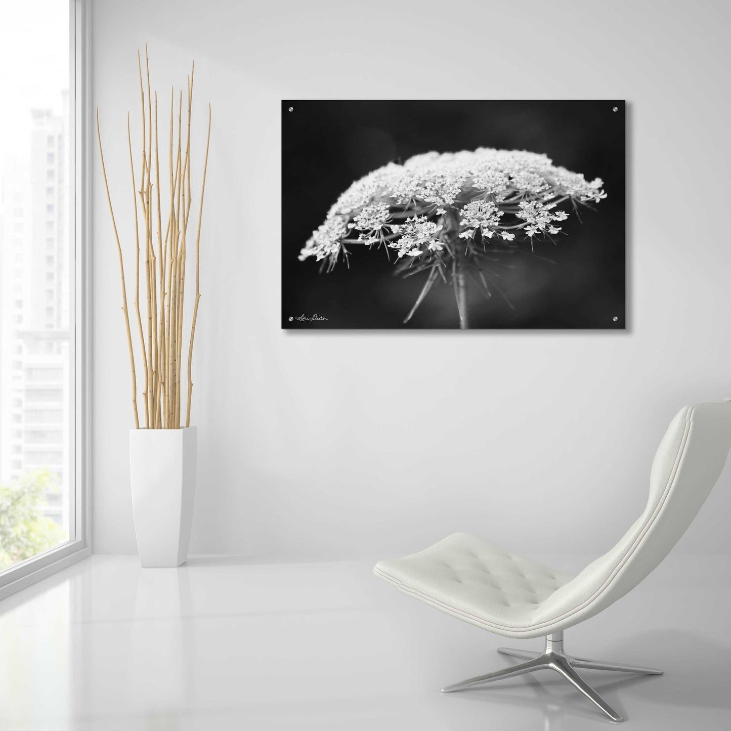 Epic Art 'Queen Anne's Lace' by Lori Deiter Acrylic Glass Wall Art,36x24