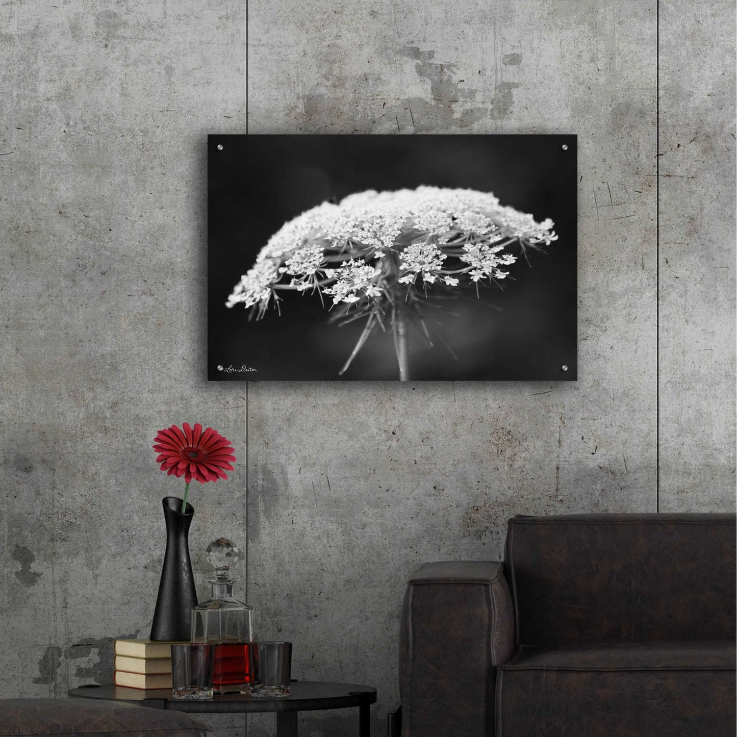 Epic Art 'Queen Anne's Lace' by Lori Deiter Acrylic Glass Wall Art,36x24