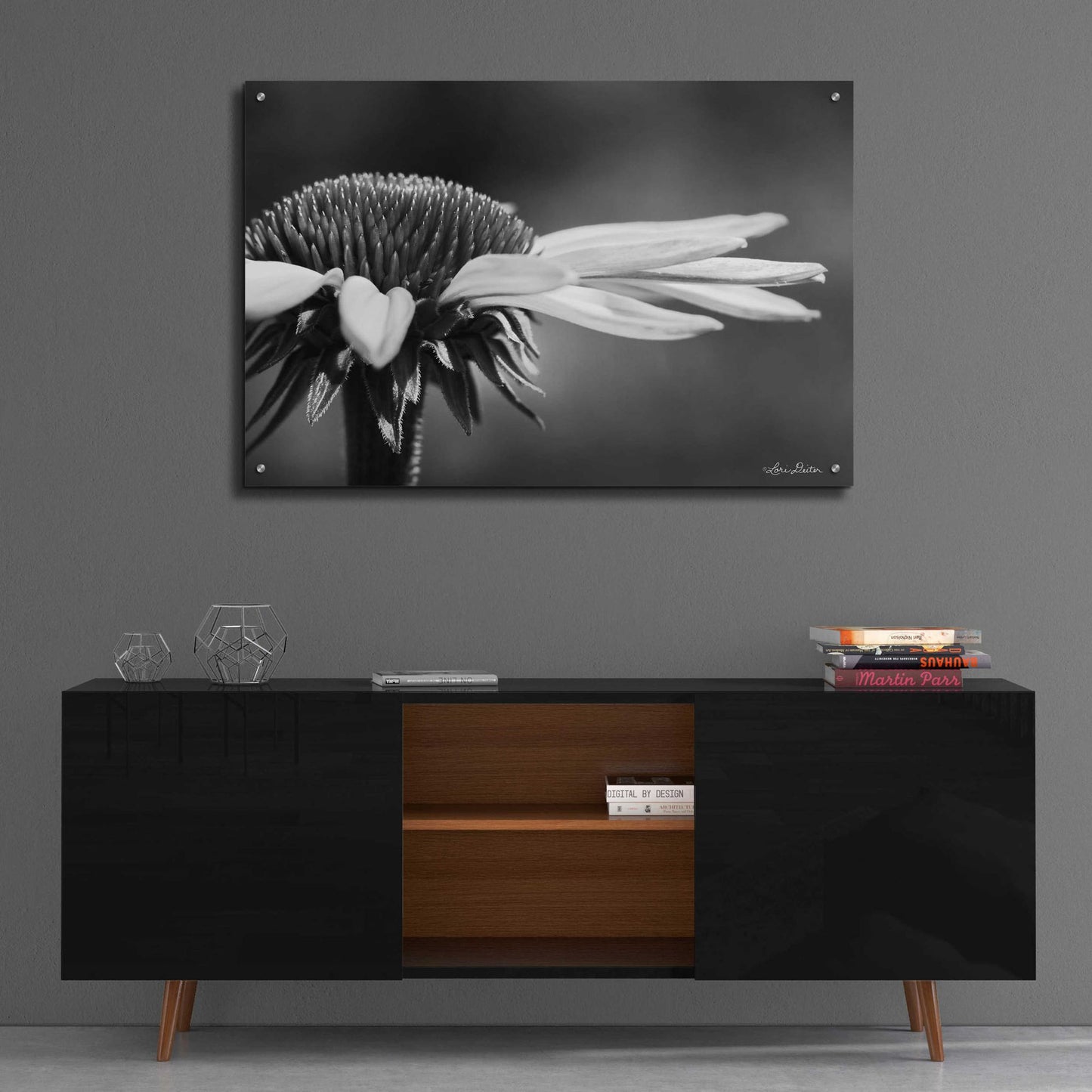 Epic Art 'Coneflower' by Lori Deiter Acrylic Glass Wall Art,36x24