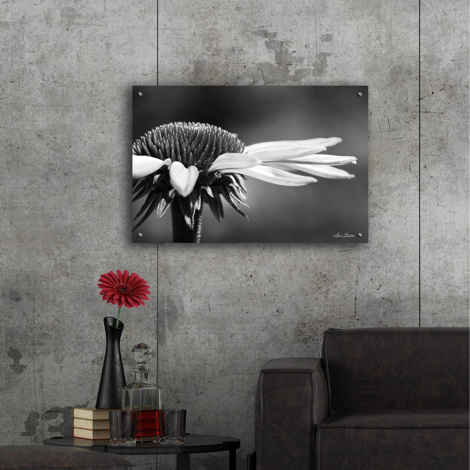 Epic Art 'Coneflower' by Lori Deiter Acrylic Glass Wall Art,36x24