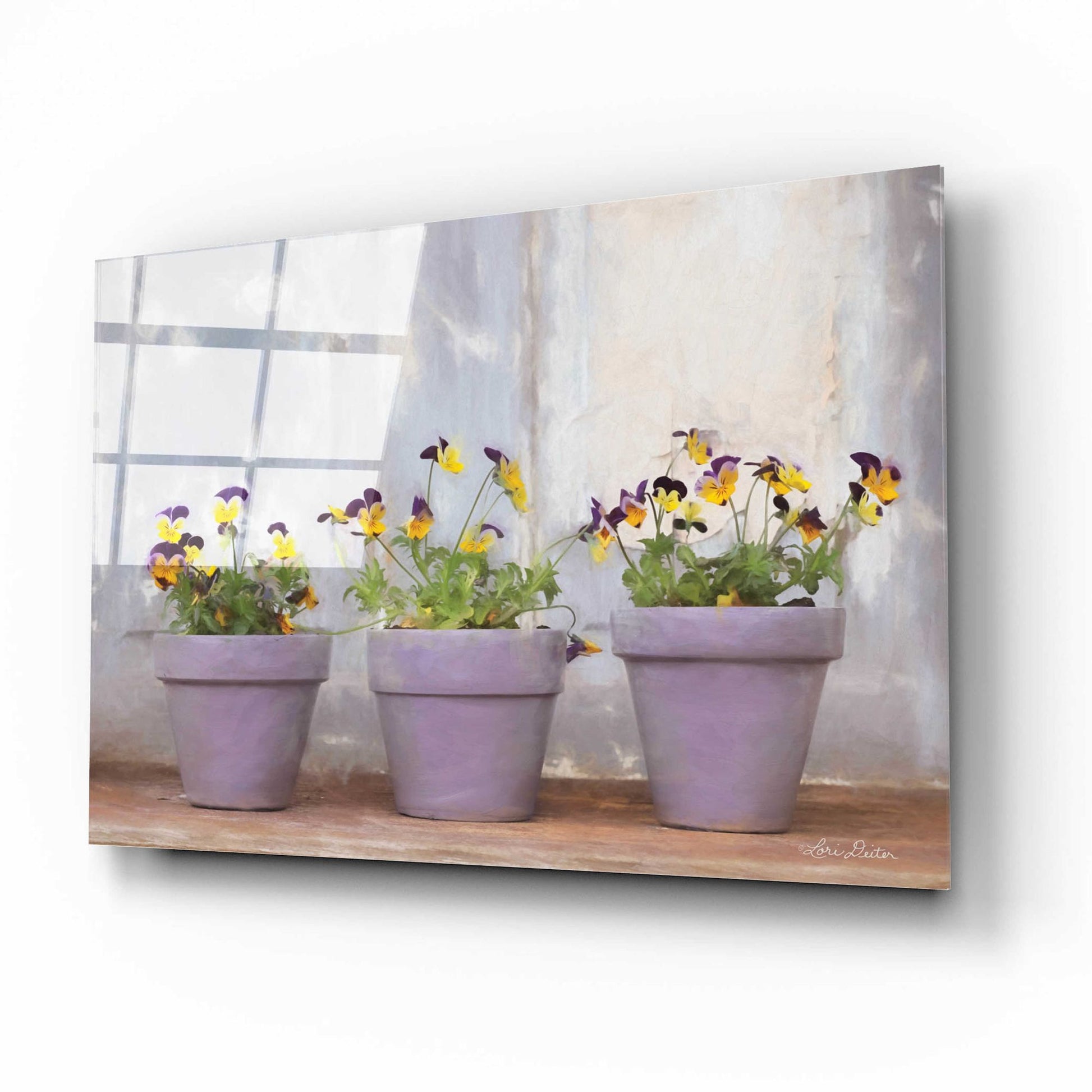 Epic Art 'Pansy Still Life I' by Lori Deiter Acrylic Glass Wall Art,16x12