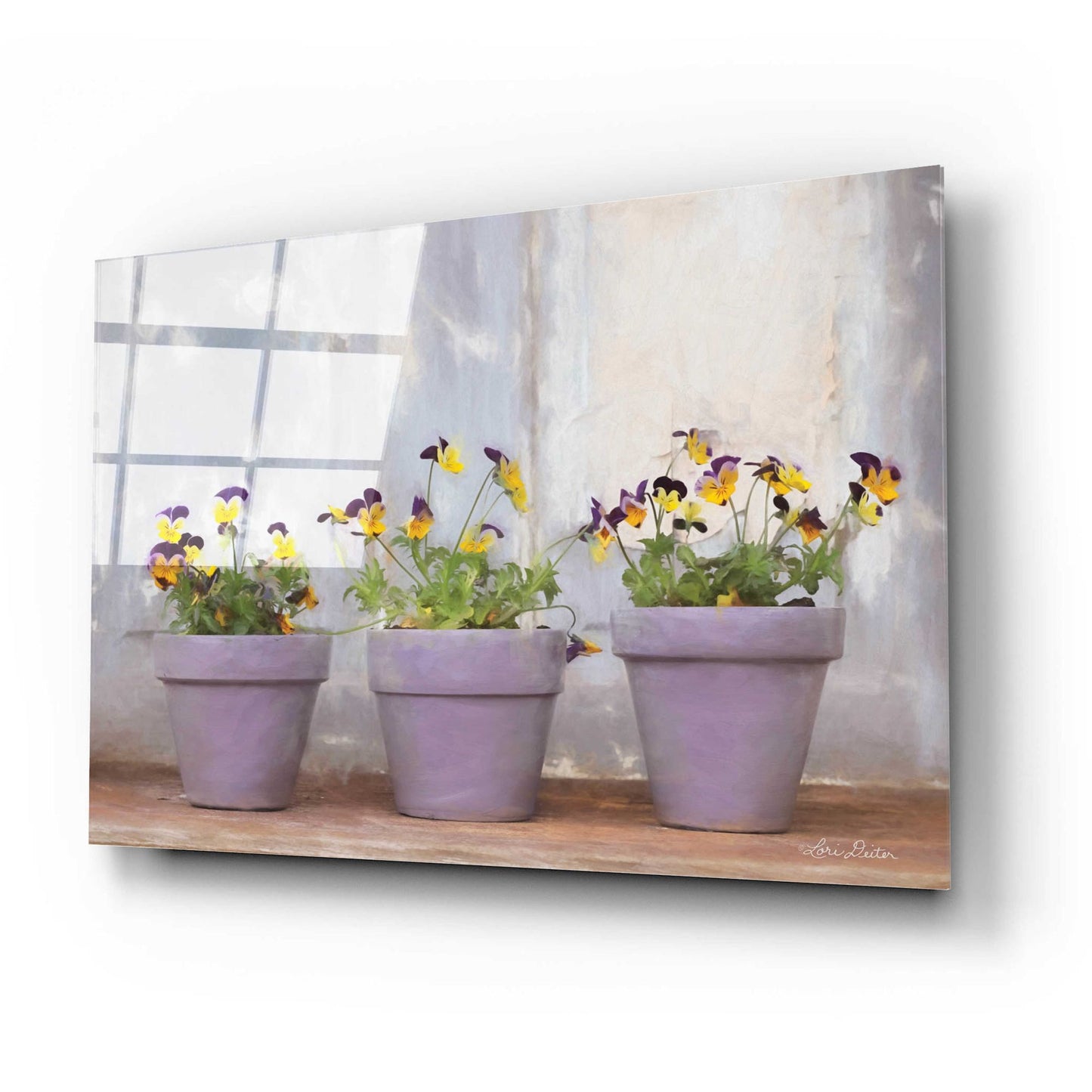 Epic Art 'Pansy Still Life I' by Lori Deiter Acrylic Glass Wall Art,24x16