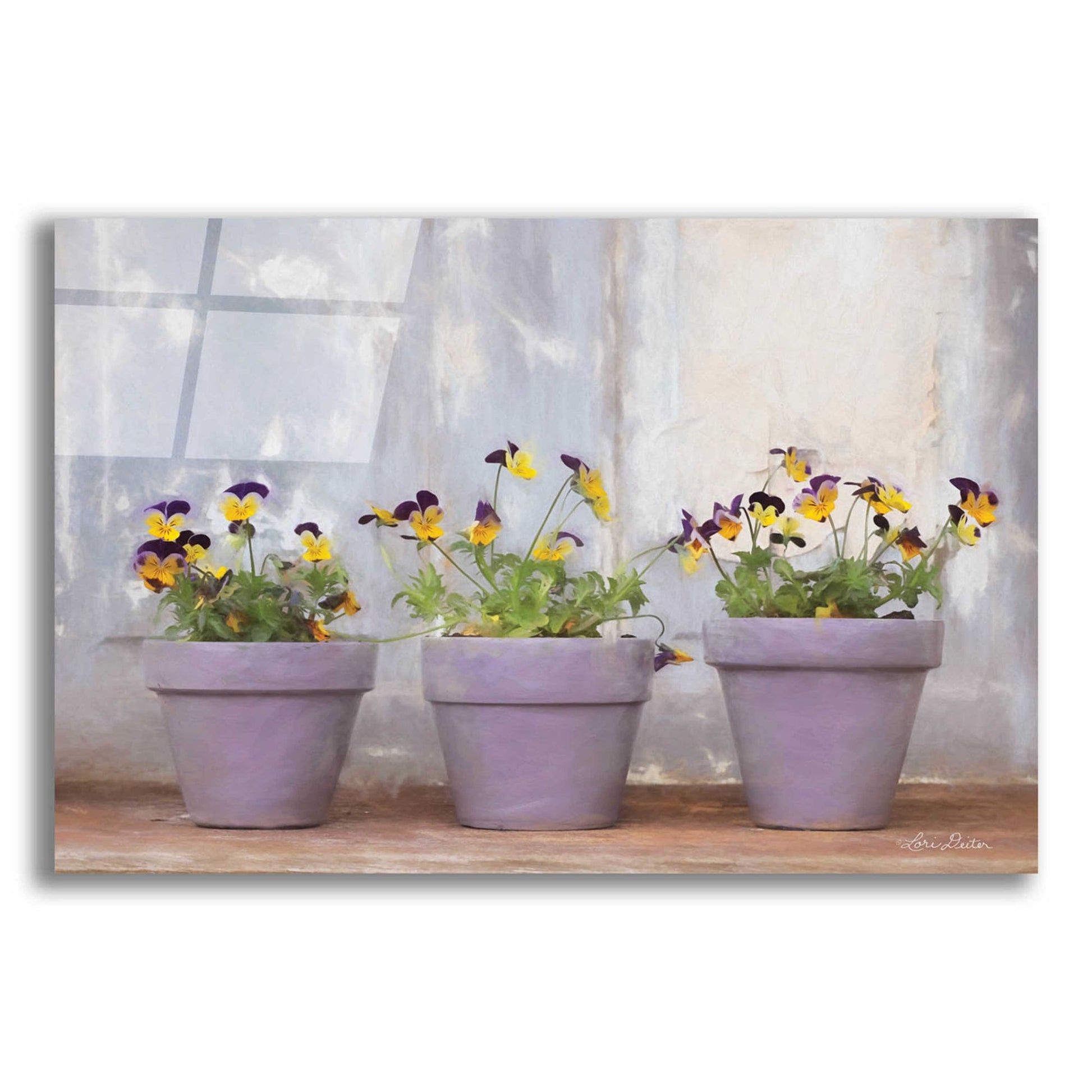 Epic Art 'Pansy Still Life I' by Lori Deiter Acrylic Glass Wall Art,24x16