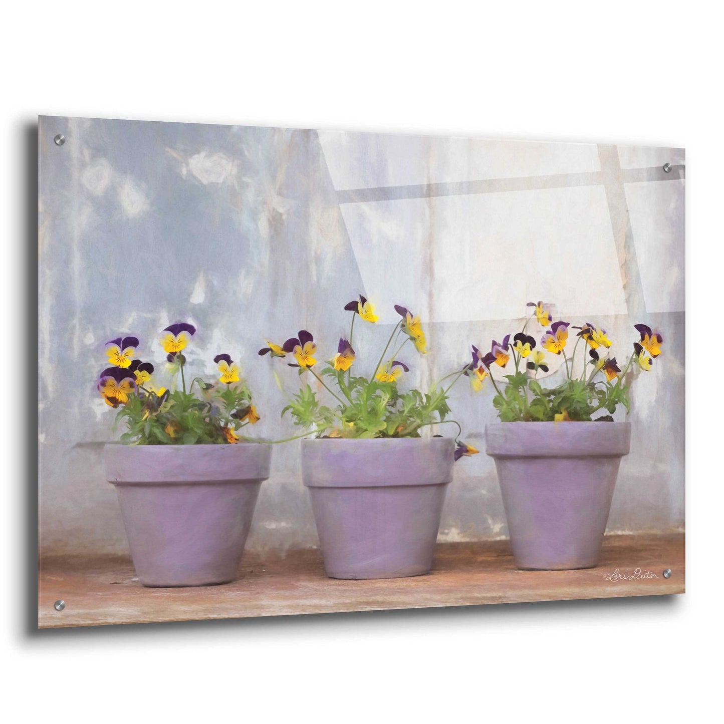 Epic Art 'Pansy Still Life I' by Lori Deiter Acrylic Glass Wall Art,36x24