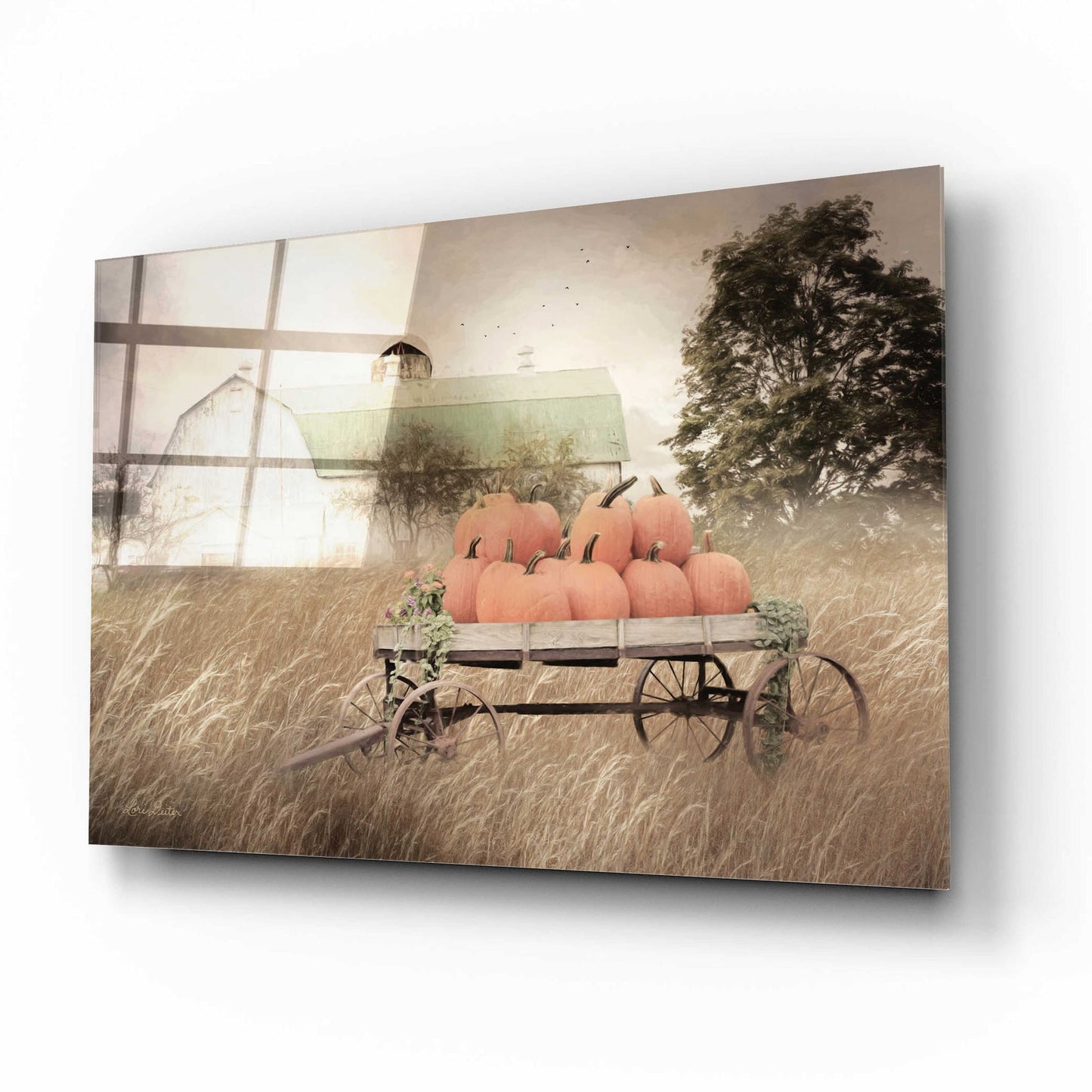 Epic Art 'Pumpkin Harvest Barn' by Lori Deiter Acrylic Glass Wall Art,16x12