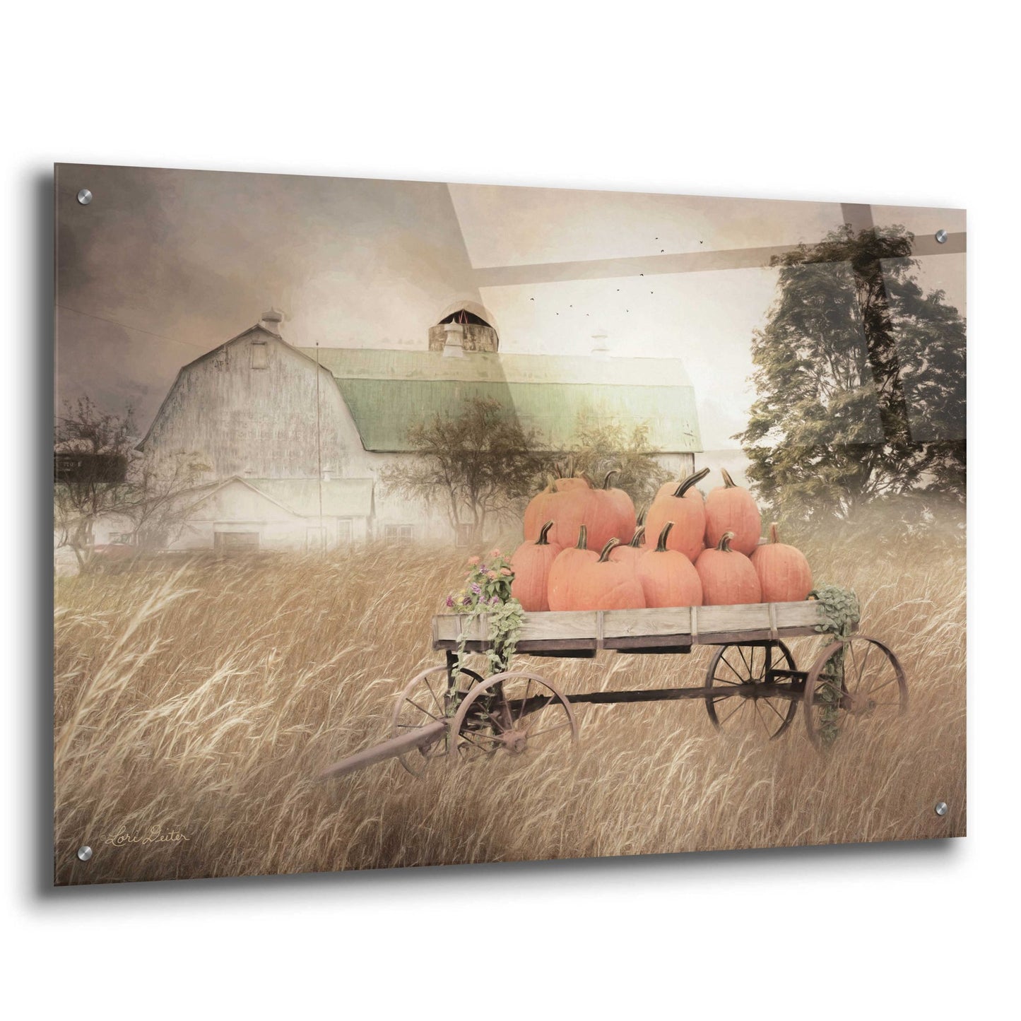 Epic Art 'Pumpkin Harvest Barn' by Lori Deiter Acrylic Glass Wall Art,36x24