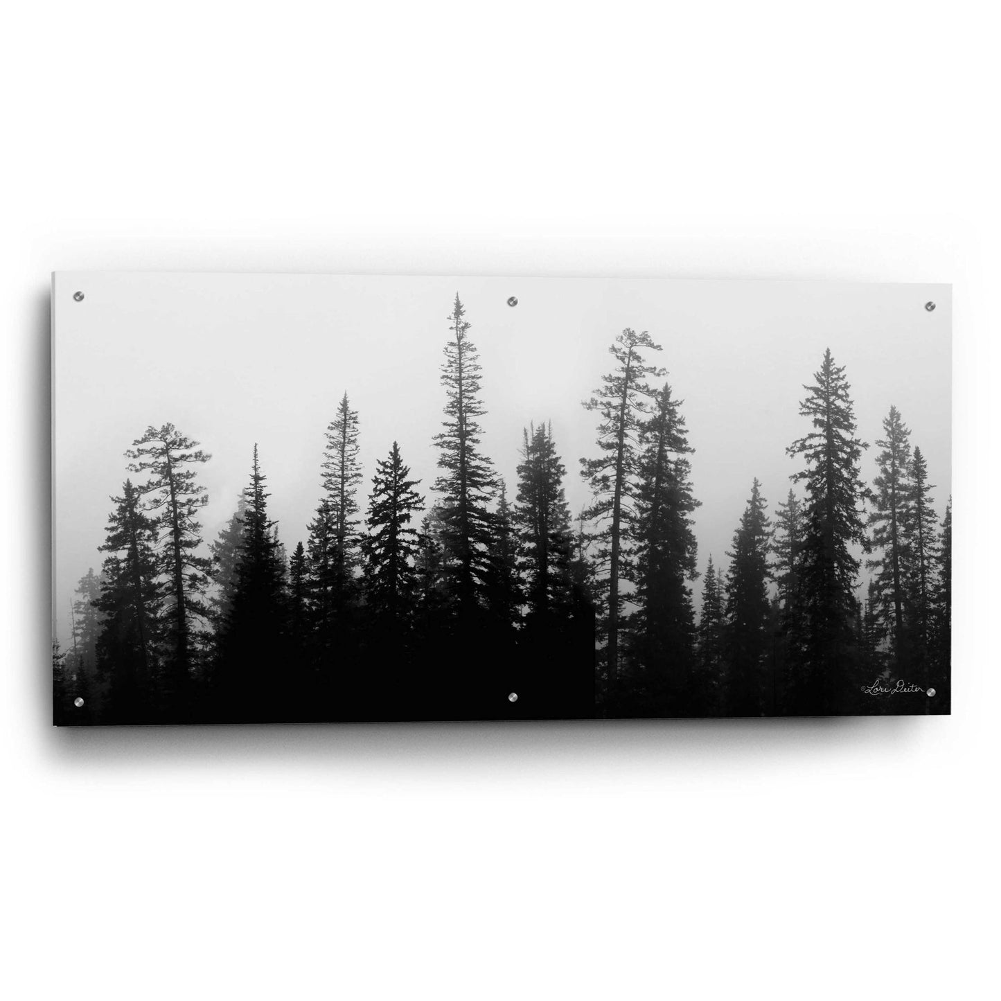 Epic Art 'Rocky's Trees' by Lori Deiter Acrylic Glass Wall Art,48x24