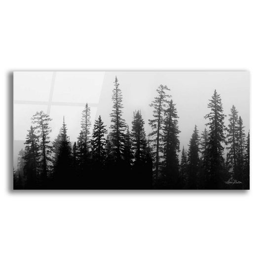 Epic Art 'Rocky's Trees' by Lori Deiter Acrylic Glass Wall Art,2:1