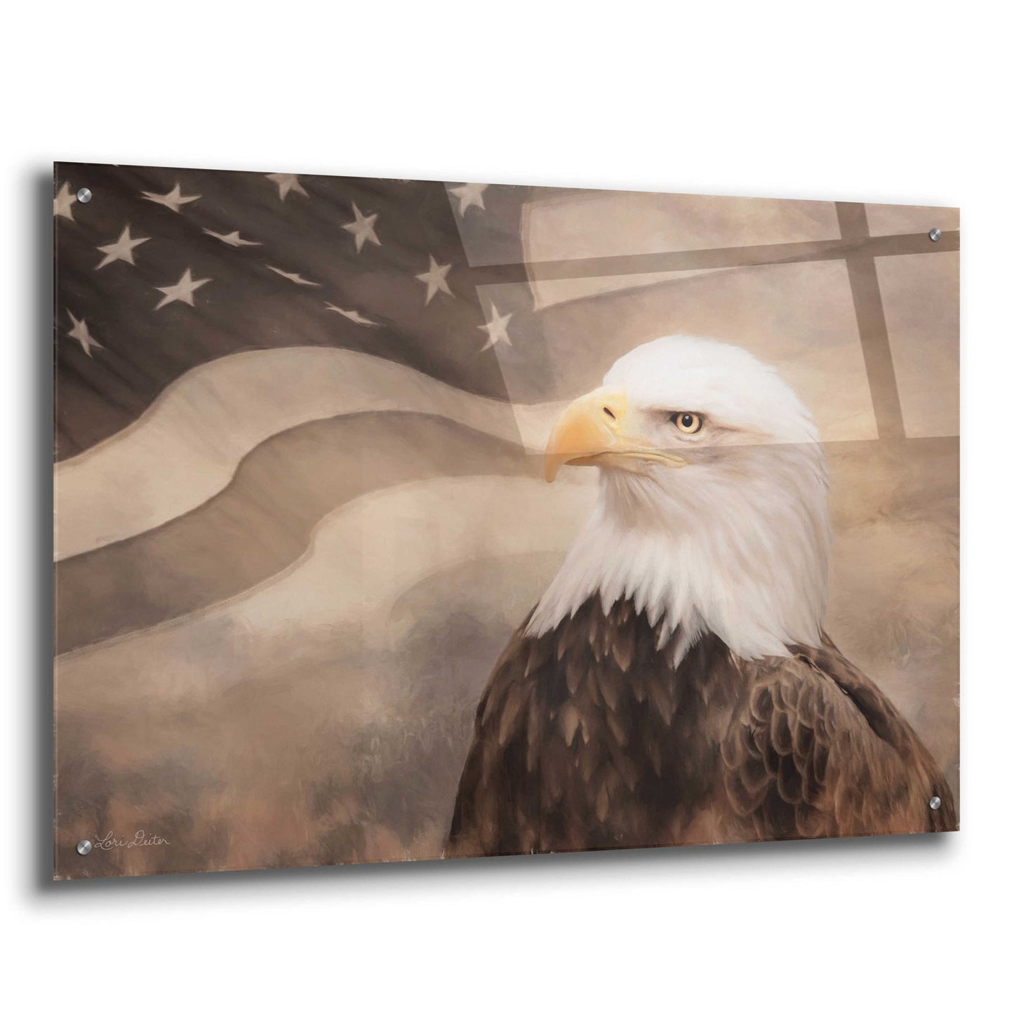 Epic Art 'US Symbols' by Lori Deiter Acrylic Glass Wall Art,36x24