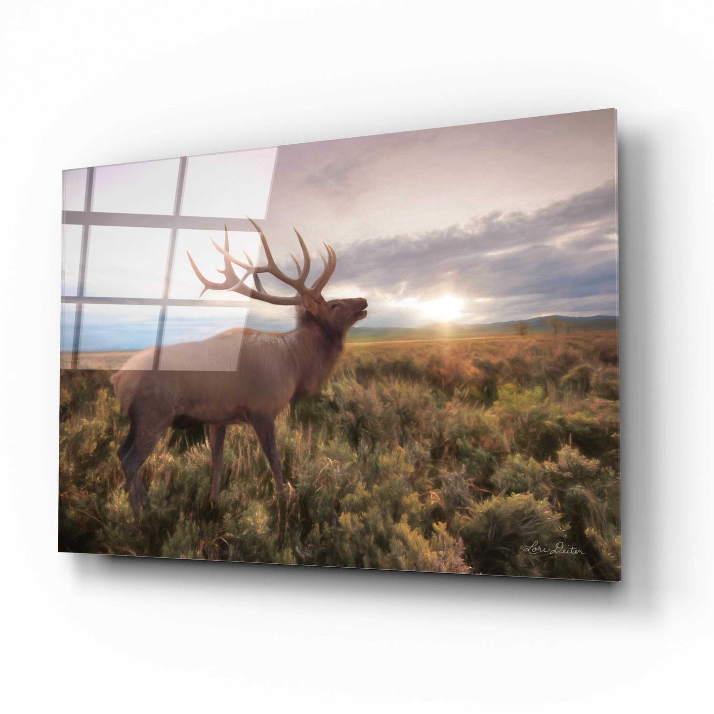 Epic Art 'Jackson Sunrise with Elk' by Lori Deiter Acrylic Glass Wall Art,16x12