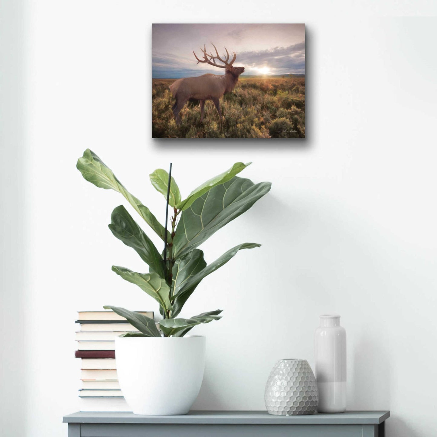 Epic Art 'Jackson Sunrise with Elk' by Lori Deiter Acrylic Glass Wall Art,16x12